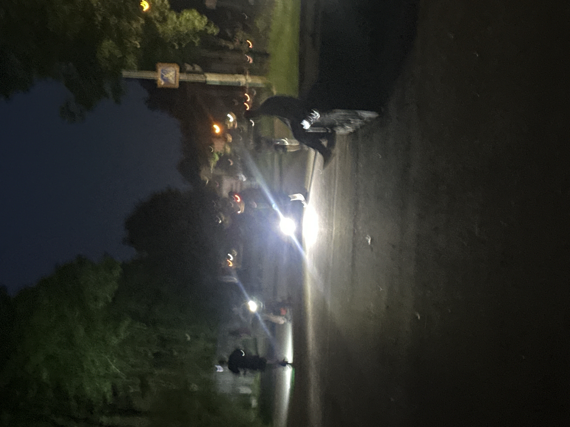 This media file depicts a scene at night in Birobidzhan, Russia. The image shows a street or park with trees lining one side and a paved area on the other. Several blurry figures are visible, appearing to be people on scooters or bicycles. One individual in the foreground is dressed in dark clothing and is riding a scooter with illuminated wheels. The scene is illuminated by streetlights and the headlights of vehicles, creating bright streaks of light and reflections. There are also some distant lights that appear to be from buildings or other sources. The overall atmosphere is nocturnal and somewhat dynamic due to the movement of the individuals. The time of day is clearly night. There are no clear indications of weather conditions. The presence of trees and paved surfaces suggests an urban or park-like setting. No visible text is present in the image.