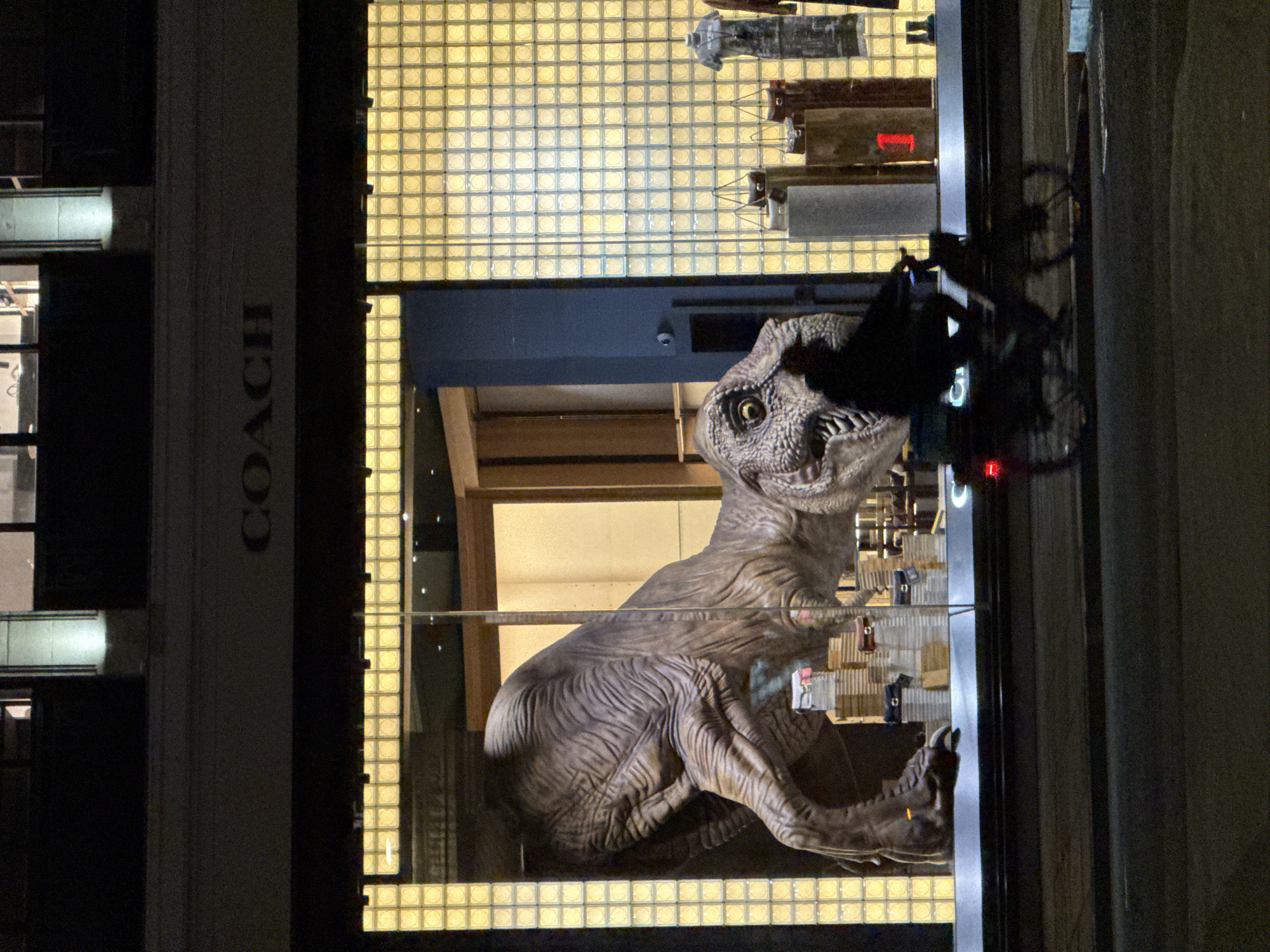 A Coach store in London, United Kingdom, has a dinosaur display in the window. The large, grey dinosaur is crouched down in the center of the window. The COACH brand name is visible on the side of the building. The window display has a glass brick background. A person riding a bicycle can be seen passing by the window.
