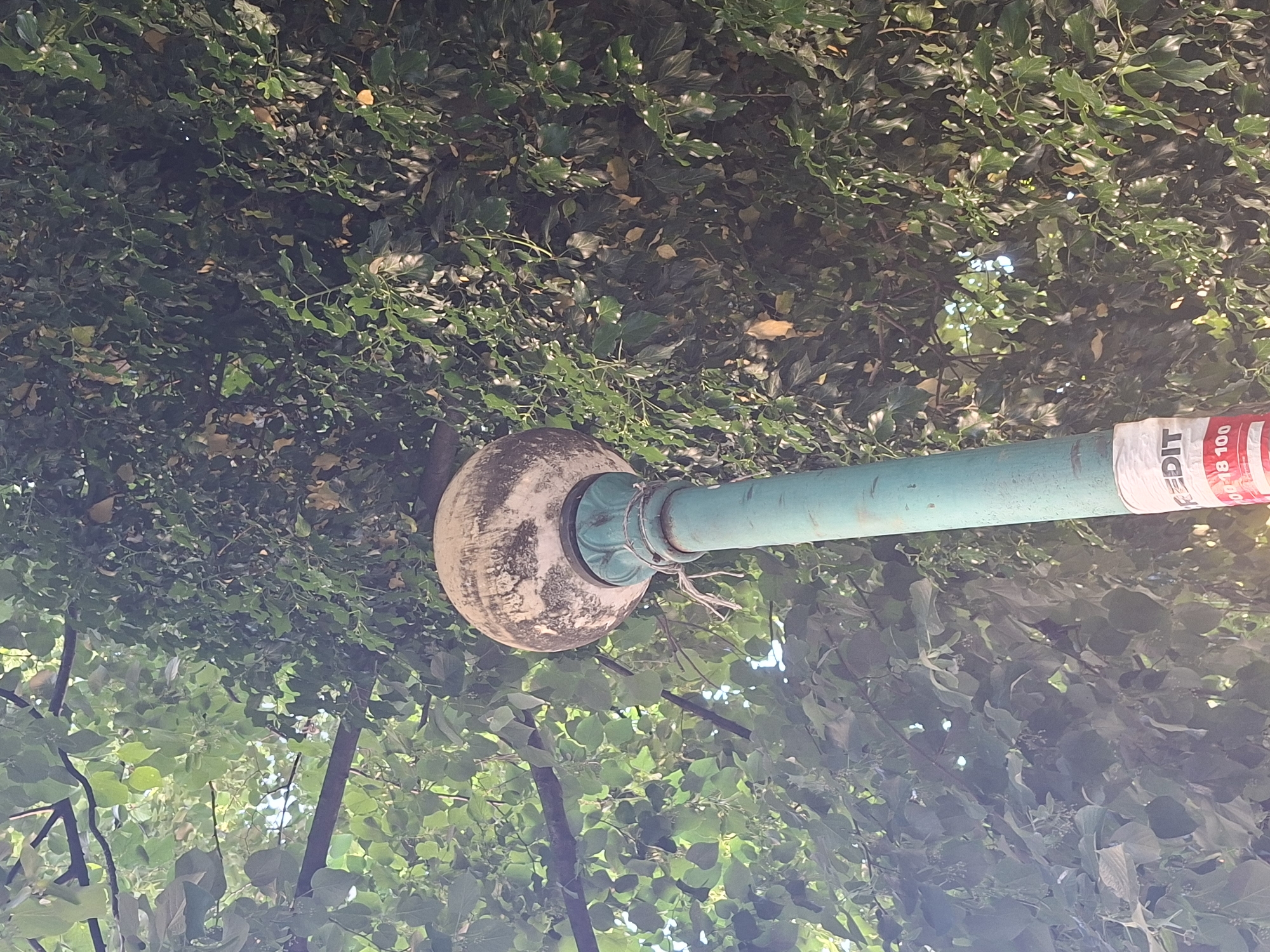 The image shows a street lamp in Galabovo, Bulgaria. The lamp has a round, weathered globe and a turquoise post. A white sticker with red lettering is attached to the post. The lamp is surrounded by dense green foliage, including leaves and branches. The perspective is looking upwards towards the lamp, which is partially obscured by the greenery.