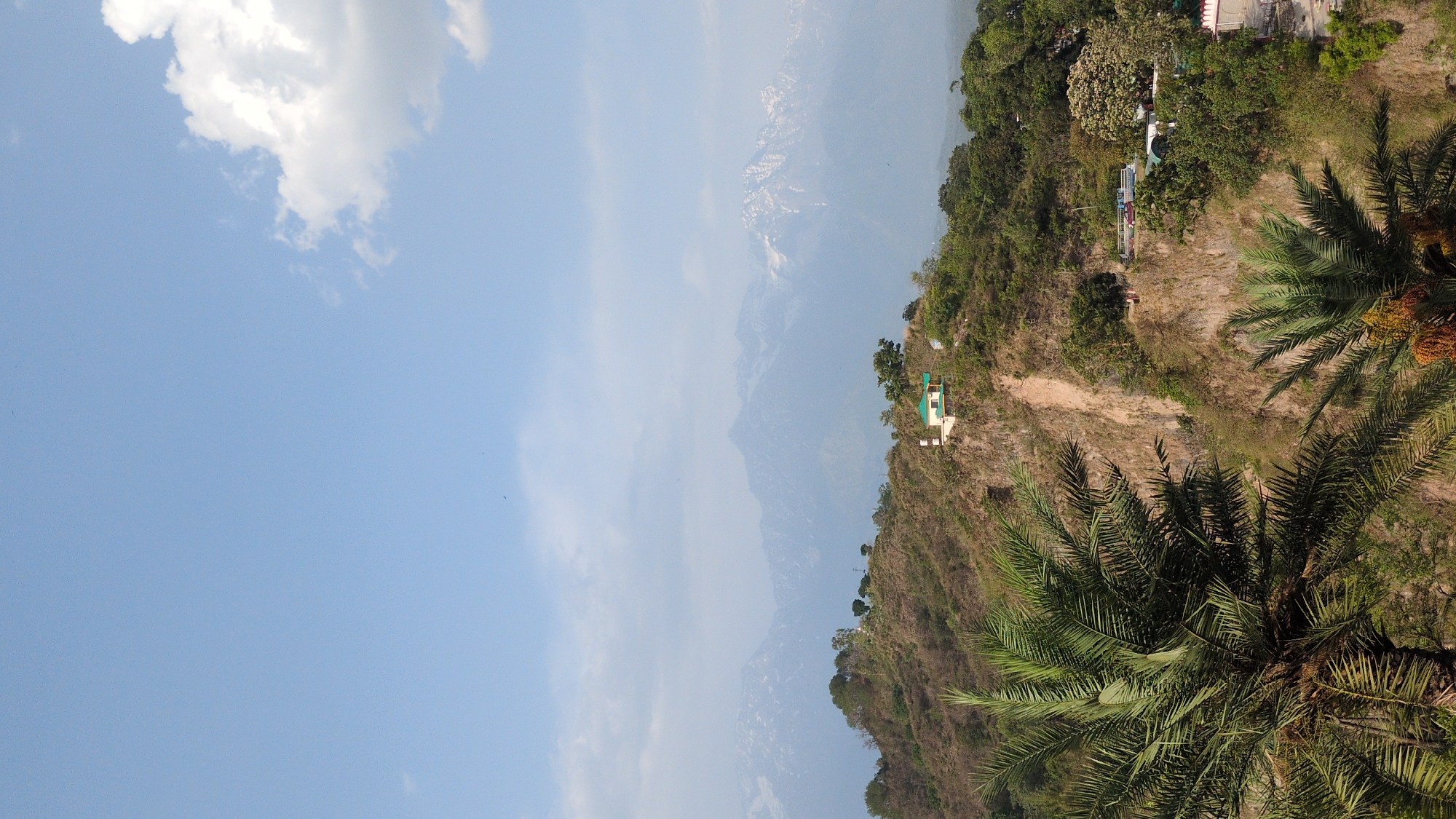 The image shows a hillside in Kaswara, India. The sky is pale blue with scattered white clouds. In the background, hazy mountains are visible. The hillside is covered in vegetation, including palm trees in the foreground and other trees and shrubs. A dirt path winds up the hillside. Several small buildings are scattered among the trees.