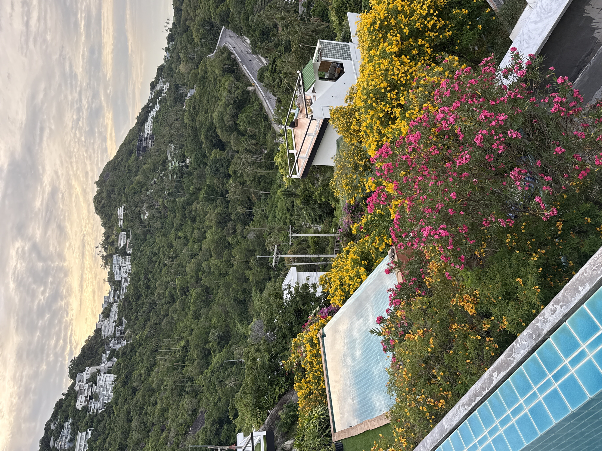 This is an eye-level, medium shot of a terraced hillside overlooking a lush green tropical landscape. The foreground features the corner of a bright blue tiled infinity pool, with a concrete edge. Beyond the pool are dense bushes with vibrant pink and yellow flowers, creating a colorful contrast against the greenery.
In the midground, a modern white building with a flat roof and a green-tiled section is situated on the hillside. It has an open-air deck with white railings and some outdoor furniture. A winding road is visible further up the hill, with a few vehicles on it.
The background is dominated by a steep, densely forested mountain, dotted with numerous white, modern villas cascading down its slopes. The sky above is overcast with soft, diffused light, suggesting either early morning or late afternoon. The overall scene depicts a luxurious tropical hillside residence, likely in the Ko Samui District of Thailand, characterized by its abundant vegetation, modern architecture, and panoramic views. There are no people visible in the frame.