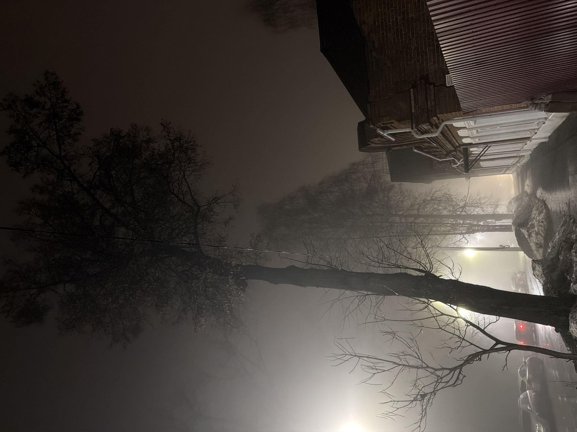 The image depicts a street scene in Sarapul, Russia, at night, characterized by heavy fog. The view is upward, angled along the street. Bare trees frame the left and foreground. A building with a brick facade and white-trimmed windows and a corrugated metal awning is seen along the right side of the street. The street is wet, reflecting light from street lamps. Cars are parked along the right side of the street, their taillights faintly visible through the fog. The overall atmosphere is dark and muted.