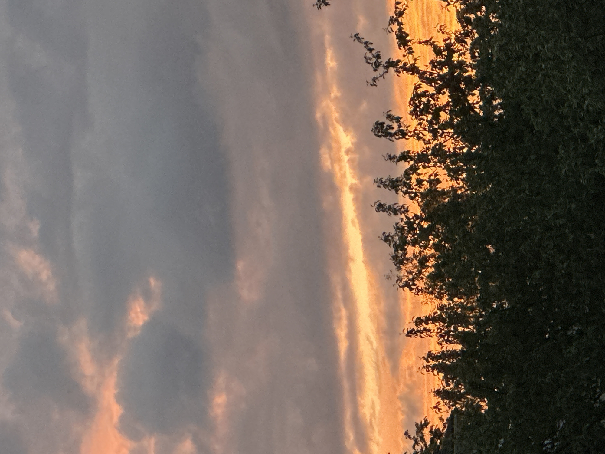 The image captures a dusk or dawn sky with a band of orange light near the horizon. To the left, the sky is overcast with gray clouds tinted with the same orange. In the foreground, dark green foliage from a tree obscures part of the view. The photo's orientation is rotated 90 degrees counter-clockwise. There is no evidence of location in Nizhny Novgorod, Russia. There are no people or interactions in the scene.