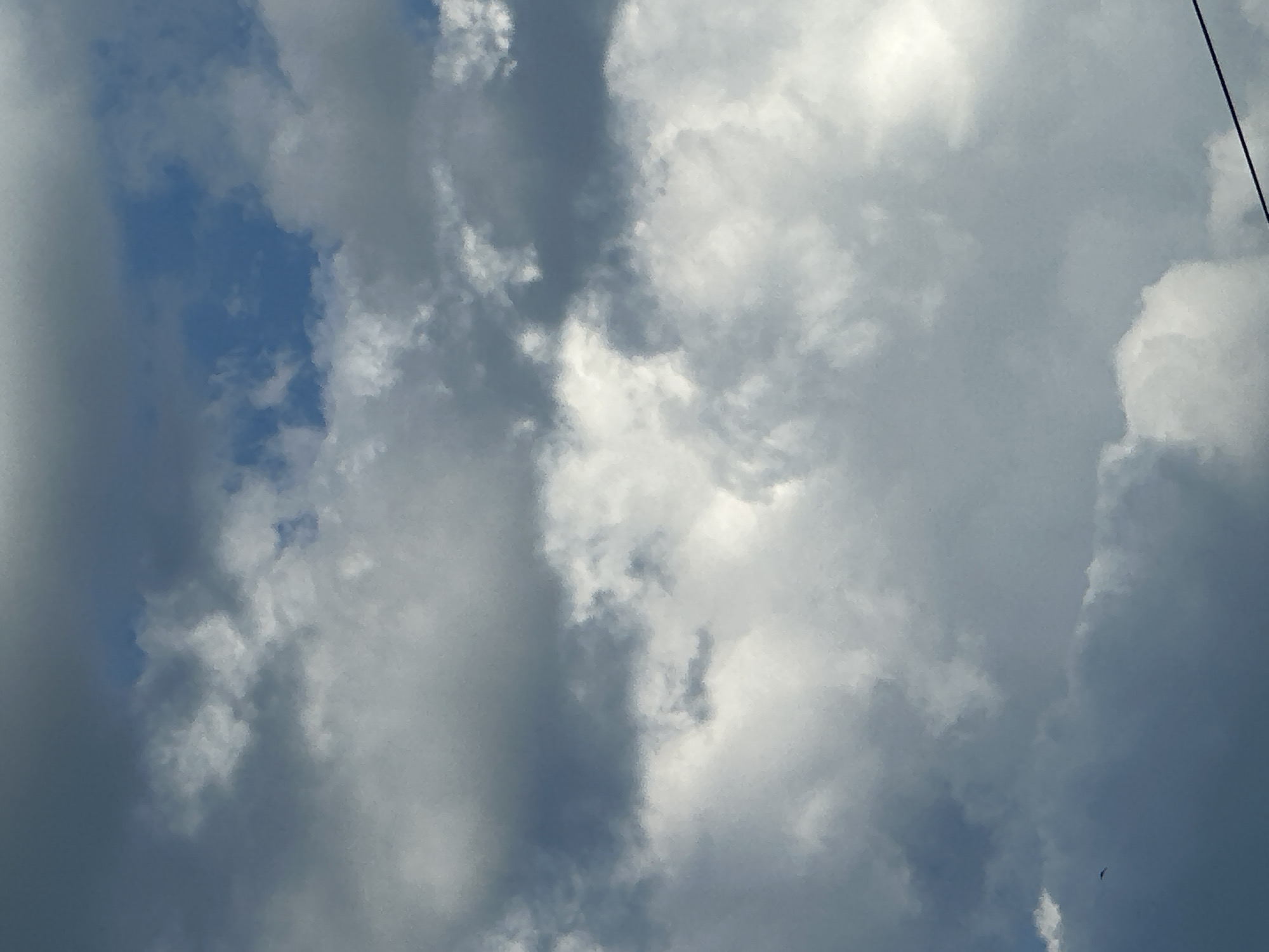 The image displays a sky filled with diverse cloud formations, observed in the city of Unknown, Unknown. The clouds vary significantly in density and illumination, ranging from dark grey, heavy masses to bright white, more translucent areas. Patches of clear blue sky are visible, particularly in the upper right quadrant. In the lower left portion of the frame, a small, dark avian silhouette is captured mid-flight against the lighter clouds. A thin, dark utility wire extends horizontally across the lower right corner, partially exiting the image frame. The scene is illuminated by natural daylight. No people, specific buildings, or ground features are discernible beyond the sky, clouds, bird, and wire.
