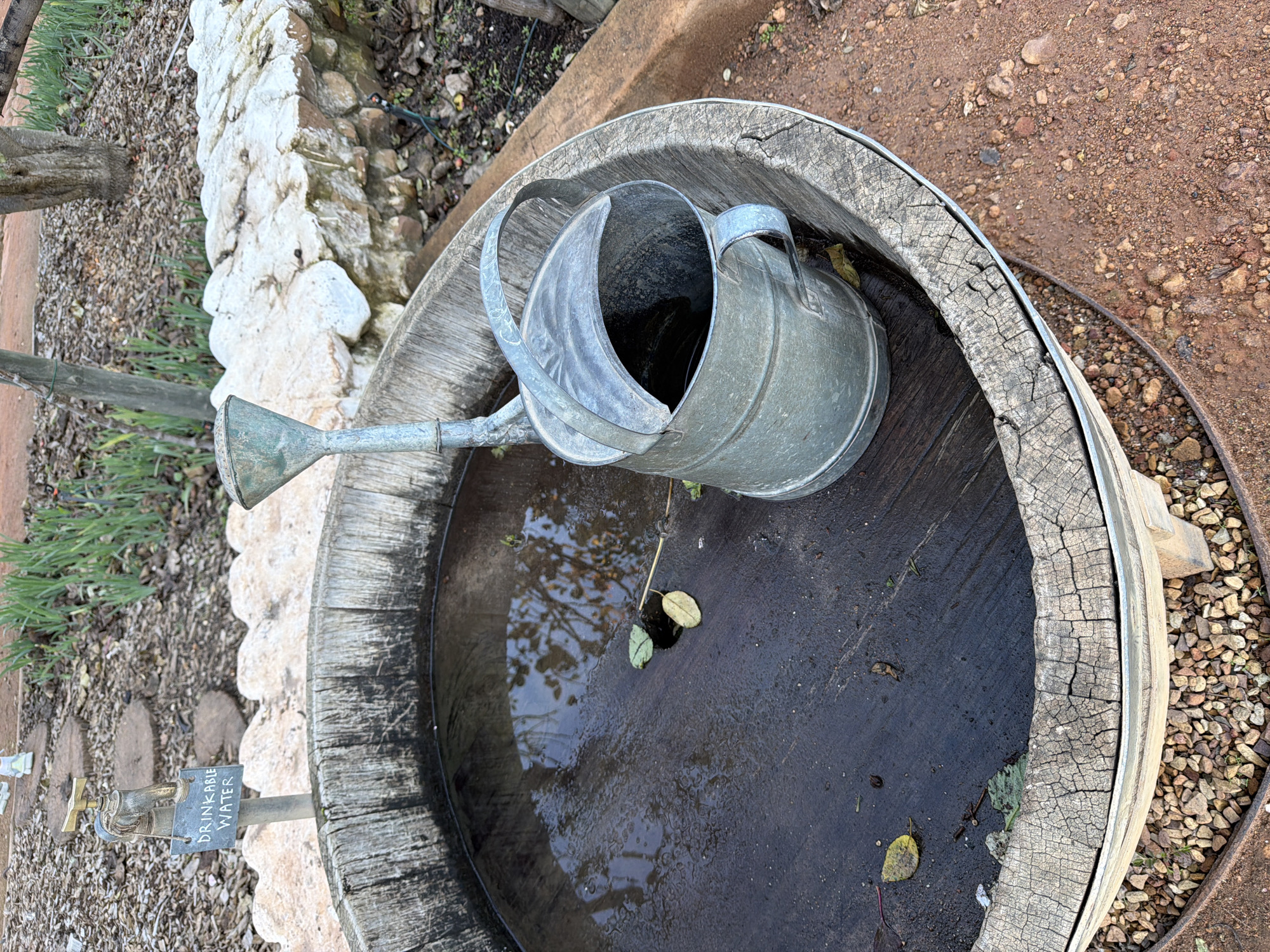 This media file captures a rustic outdoor watering station, likely in a garden or rural setting in Drakenstein Nu, South Africa. The primary subjects are a large, weathered wooden barrel, possibly a repurposed wine barrel, and a galvanized metal watering can.
The watering can rests inside the wooden barrel, partially submerged in the dark water collected within. The water surface reflects the sky and what appears to be tree branches, suggesting an open-air environment. Several fallen leaves float on the water, enhancing the natural, organic feel of the scene. The barrel itself shows significant signs of age and weathering, with deep cracks and a worn texture visible on its wooden staves and metal bands.
To the left of the barrel, a small brass-colored faucet is mounted on a pipe. A dark, rectangular sign hangs from the pipe, with the white text "DRINKABLE WATER" clearly visible, indicating the tap provides potable water. The ground surrounding the barrel and faucet is a mix of reddish-brown dirt and gravel, with some green, grass-like vegetation and scattered debris. A low, light-colored stone wall or border is visible behind the faucet and extends towards the background.
The image depicts a static scene under bright daylight conditions. No people are present, and there is no active event taking place, but the setup suggests practical use for watering plants or as a drinking water source. The overall impression is one of functionality and a connection to nature, emphasizing sustainable water use in a rustic landscape.