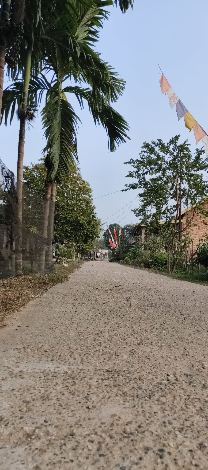 The image depicts a gravel road in Baru, Indonesia, lined with trees and vegetation. Two palm trees are prominent on the left side of the road. Prayer flags, in various colors, are strung across the sky on the right side, and a brick building is visible in the background. The sky is clear and blue.