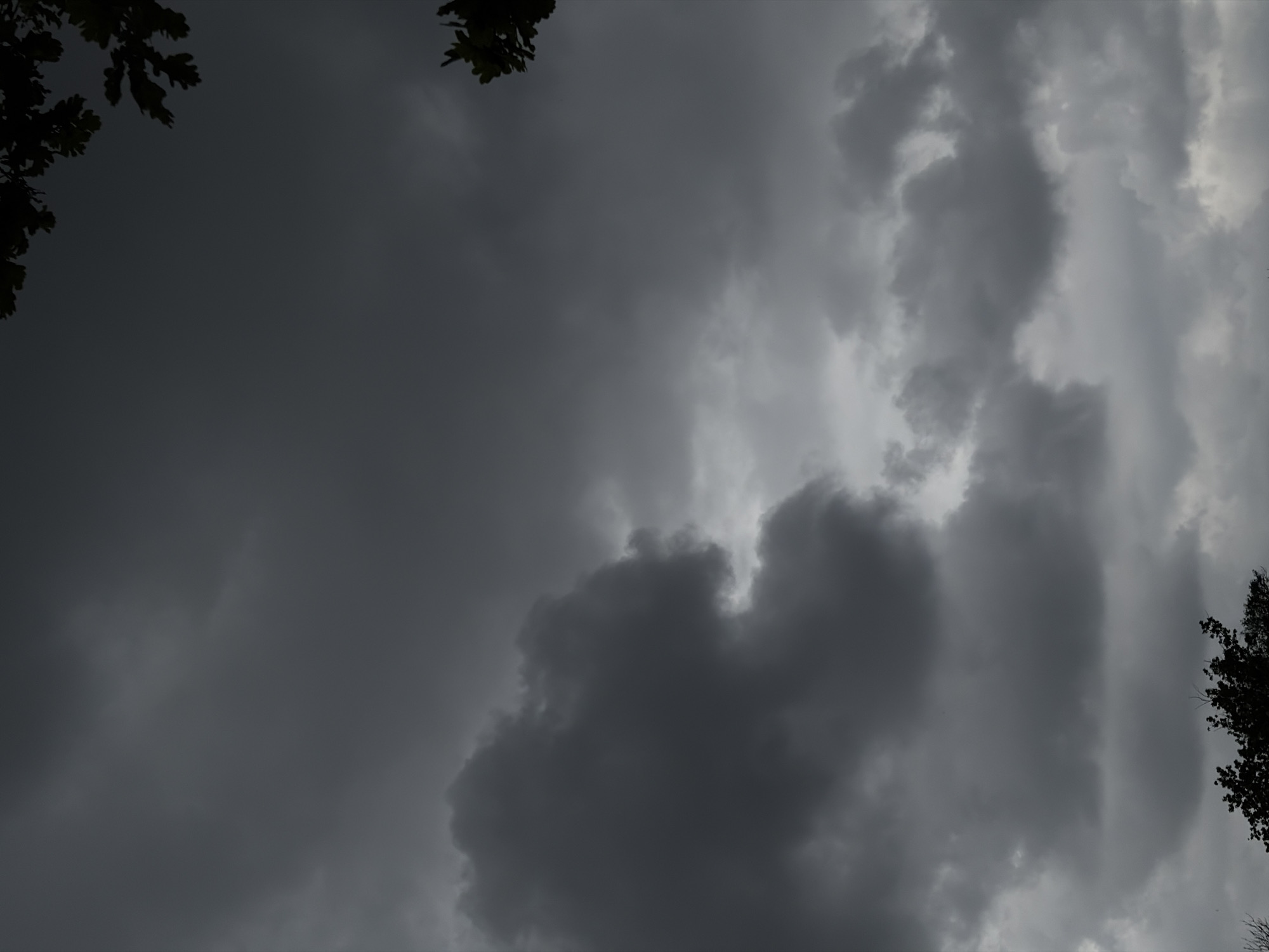 The image shows a dark, cloudy sky with foliage visible in the upper left and lower right corners. The clouds range in color from dark gray to lighter gray, suggesting varying thickness and density. There are no discernible people or objects other than clouds and foliage. The setting is likely outdoors. The location in Krasnodar, Russia is unknown. There is no information to determine the setting within the city.