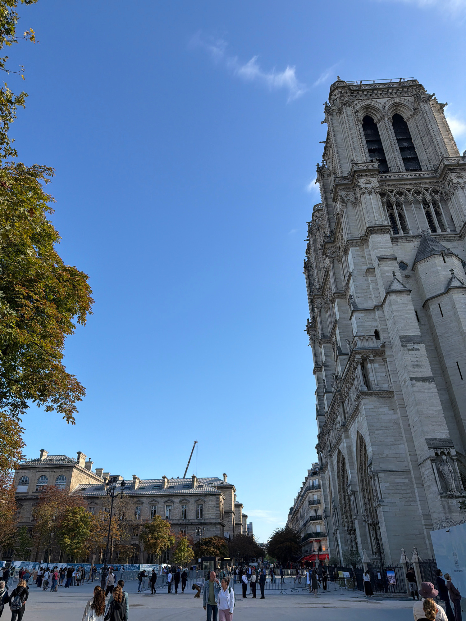 The image shows a view of Notre Dame Cathedral in Paris, France, on a clear day with a bright blue sky. The cathedral's facade and bell tower are prominent on the right side of the frame, showcasing its intricate Gothic architecture and gargoyles. In the background, a long, ornate building with multiple windows and a grey roof is visible, as are trees with autumn foliage. A construction crane is also present, suggesting ongoing work or repairs. A crowd of people is gathered in the foreground, some standing and observing, while others are walking across a paved area. The scene depicts a public space, likely a plaza or street, adjacent to the historic landmark.