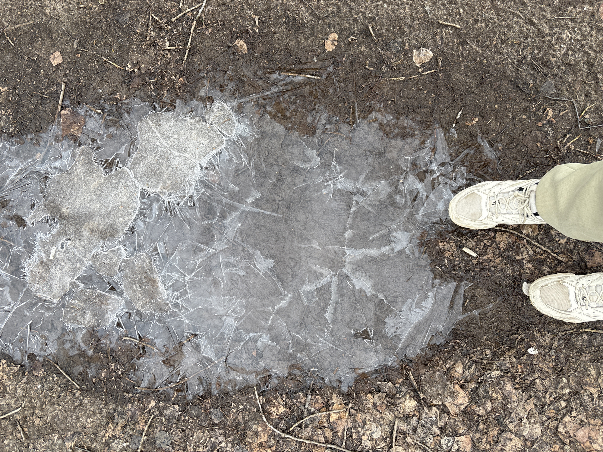 The image shows a puddle of partially frozen water surrounded by dirt and dead leaves. To the right of the puddle, a pair of white sneakers are visible, with a bit of light green fabric above them, suggesting a person is standing next to the puddle. The ice in the puddle exhibits a fractured pattern. The location is implied to be Chaikovsky, Russia, although there are no explicit indicators within the image.