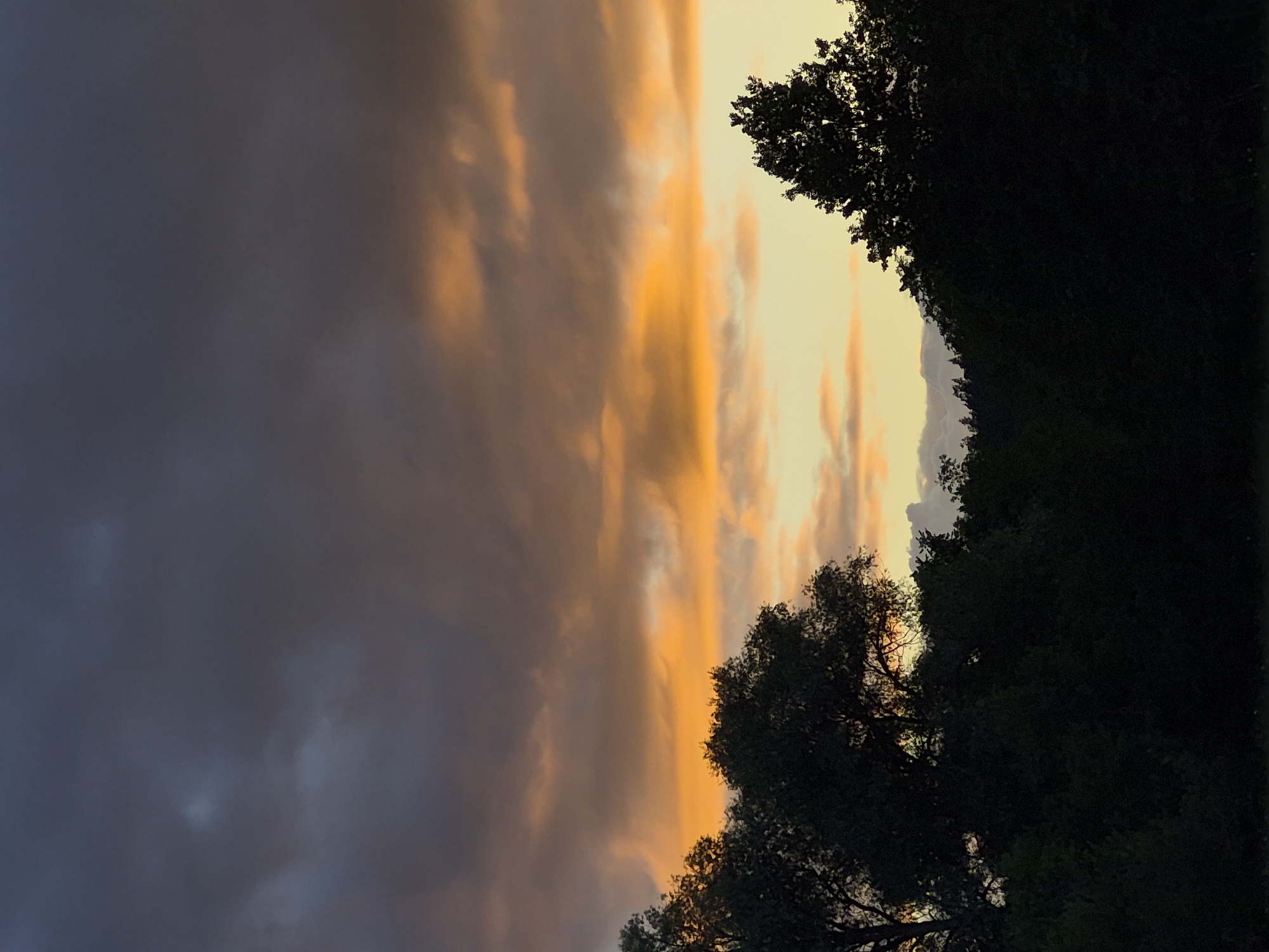 The media file depicts a dramatic sky at dusk, with dark, heavy clouds on the left gradually giving way to a vibrant orange and yellow sunset on the right. Silhouetted trees frame the right and bottom edges of the scene, their dark foliage creating a stark contrast against the colorful sky. The composition suggests a natural, outdoor setting, likely a field or woodland edge, in Sooblase, Estonia, during the twilight hours. The heavy clouds might indicate approaching rain or a recent storm, adding to the atmospheric intensity of the sunset. The overall mood is one of awe and a touch of melancholy, typical of dramatic sunset skies. There is no visible text in the media file.