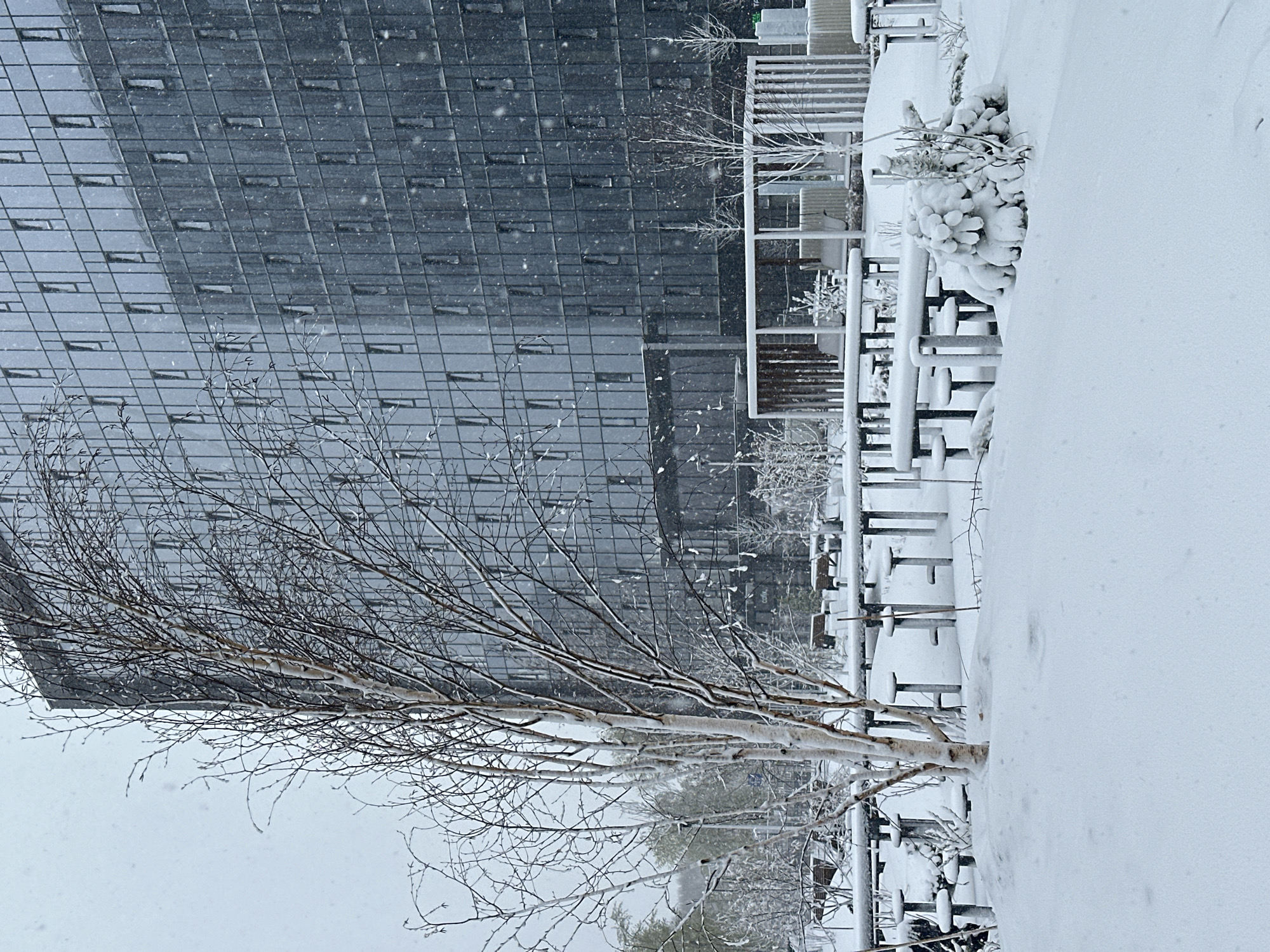The image shows a snowy scene. A tall, modern building with a grid-like facade is visible on the left side. A birch tree with bare branches stands in the foreground. There are tables and chairs covered in snow, suggesting an outdoor dining area. The ground is covered in a thick layer of snow. It is snowing. The location is likely in Khimki, Russia.