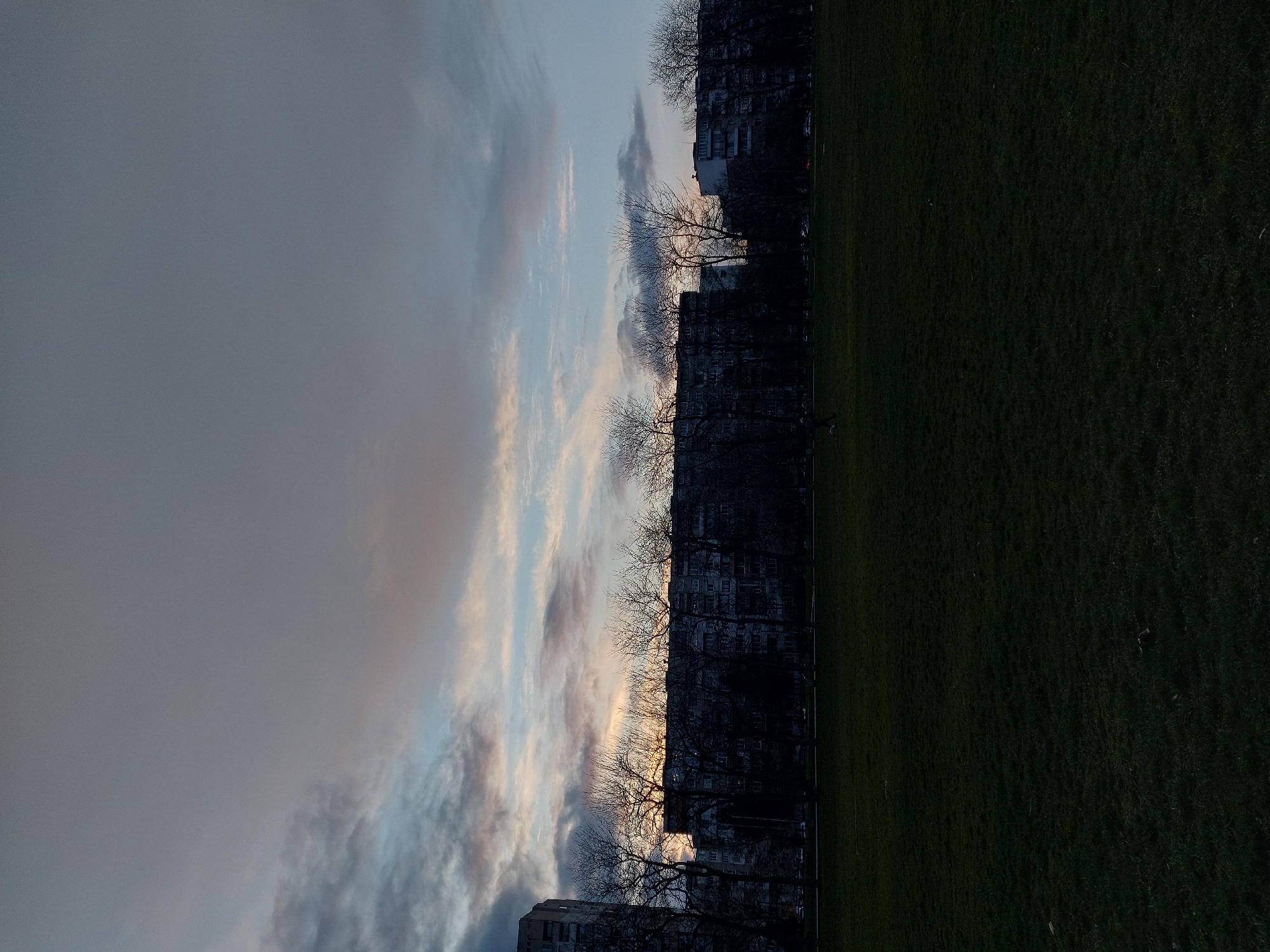 The image shows a view of a park at dusk or dawn. On the right side of the image is a large expanse of green grass. Along the edge of the park, a row of leafless trees lines the boundary. Behind the trees are several multi-story apartment buildings. The sky is filled with clouds, with hues of grey, blue, and peach, suggesting the time of day.