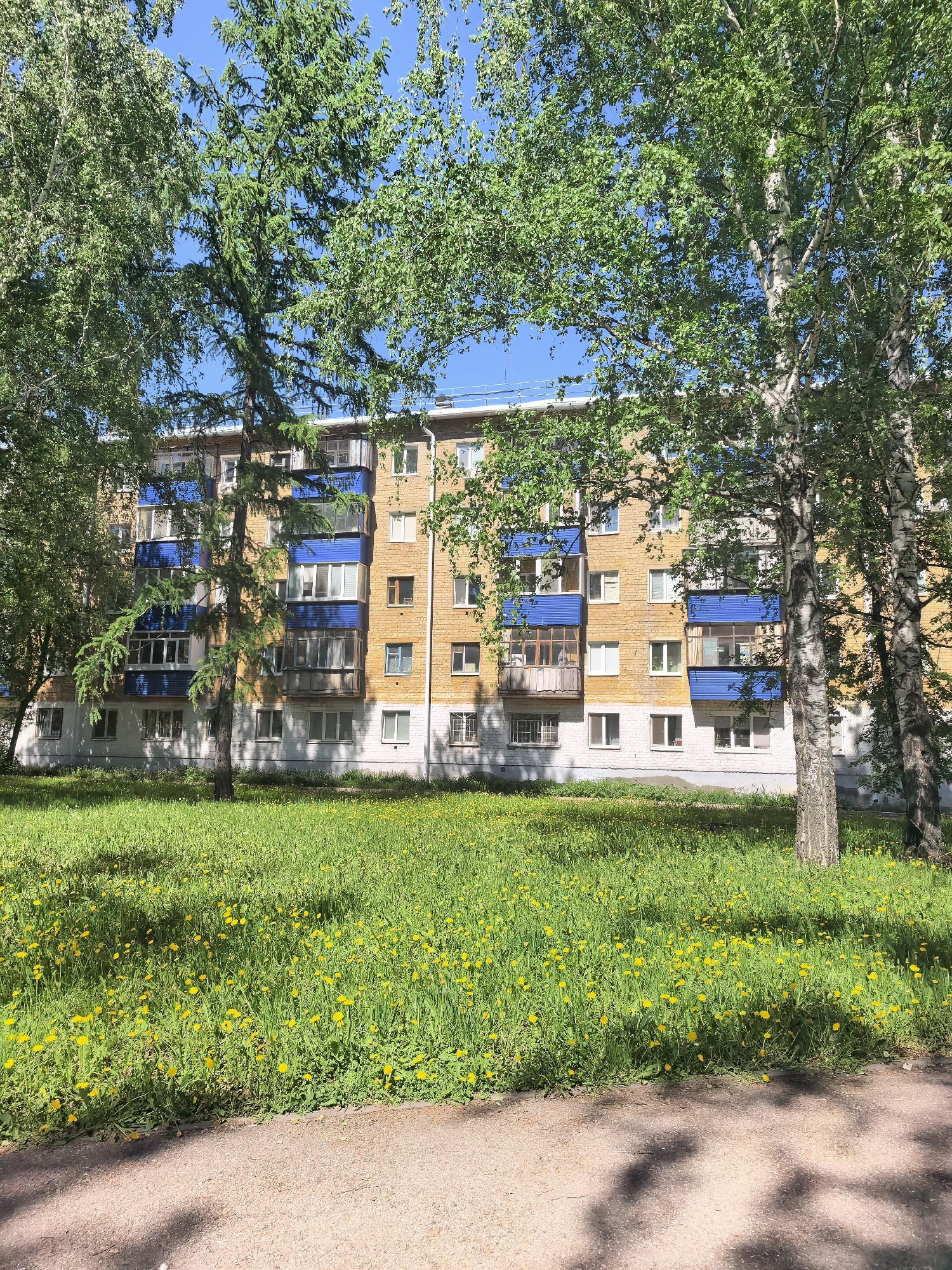 The image shows a five-story brick apartment building with blue accents on the balconies in Sterlitamak, Russia. The building is partially obscured by trees. The foreground consists of a grassy area filled with yellow dandelions and a dirt path. The sky is blue and mostly clear.