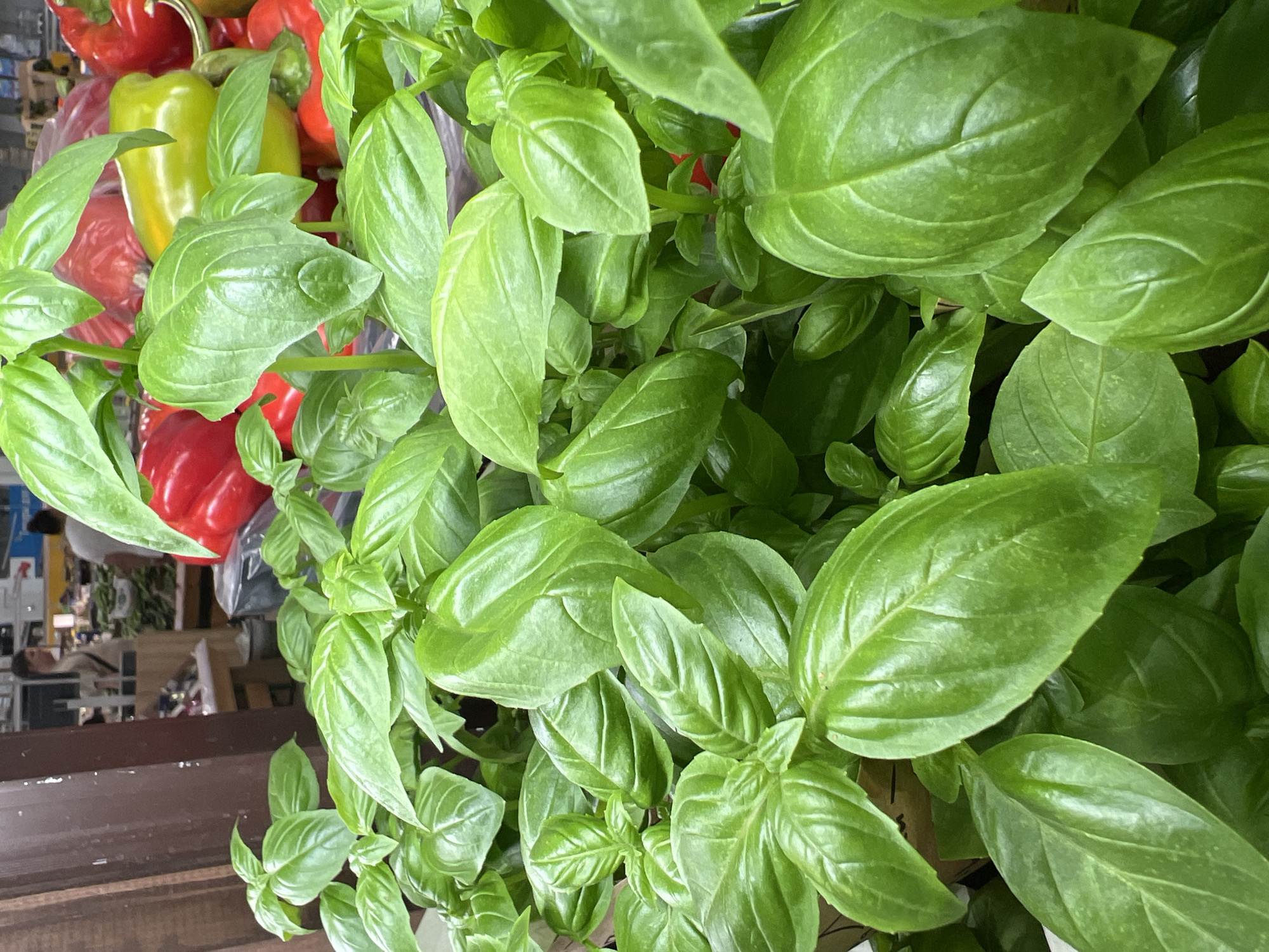 The image shows a close-up of fresh basil plants with vibrant green leaves. In the background, out of focus, are colorful bell peppers, including red and yellow varieties, and other produce displayed in what appears to be a market or grocery store. The environment suggests a place where fresh ingredients are sold. There are no discernible people in the immediate foreground, but figures can be seen further in the background of the market setting. The lighting is bright, illuminating the fresh produce. The image does not provide any information about the city of Yekaterinburg, Russia.
