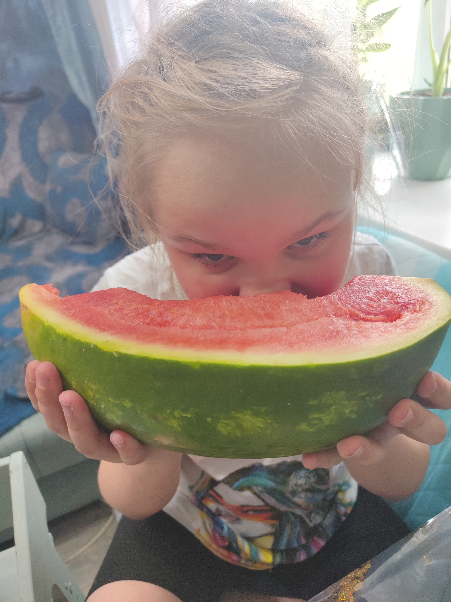 A young child with blonde hair is holding a large slice of watermelon and is in the process of eating it. The watermelon is primarily red with a thick green rind. The child is wearing a white t-shirt with a colorful design and dark-colored shorts. The background includes a blue patterned couch, a window with a green plant on the windowsill, and what appears to be a white table or surface with some small, glittery objects.
There is no indication in the image that would lead one to conclude this was taken in Chaikovsky, Russia.