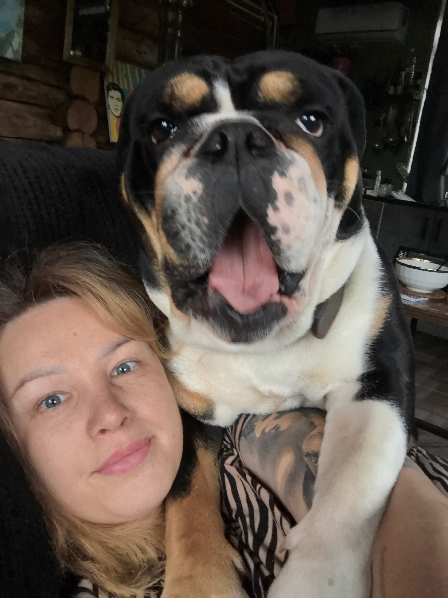 An indoor, close-up selfie captures a woman embracing a tricolor bulldog. The woman, positioned in the lower left, has fair skin, blue eyes, and light brown hair. She looks towards the camera with a subtle smile, showing a relaxed and content expression. Freckles are visible on her face, and a tattoo can be seen on her arm, partially covered by the dog's paw. She is wearing a black top over a striped undergarment.
The large bulldog occupies the majority of the upper frame, leaning on the woman. Its fur is black, white, and tan, and it wears a dark collar. The dog's mouth is wide open, with its tongue visible, suggesting a yawn or a pant. Its eyes are large and brown, looking slightly upwards and to the right.
The background on the left side features rustic log walls, indicating a cabin-like structure, along with a small mirror and a visible framed picture or poster of a stylized man's face, possibly Elvis Presley. On the right side of the background, a darker interior with what appears to be a kitchen or dining area is visible, including a white bowl with a gold rim on a wooden surface, various bottles, and a metal shelf or rack. An air conditioning unit or vent is mounted on the ceiling. The scene depicts a casual, affectionate moment between a pet owner and her dog, likely in Noviy, Russia.