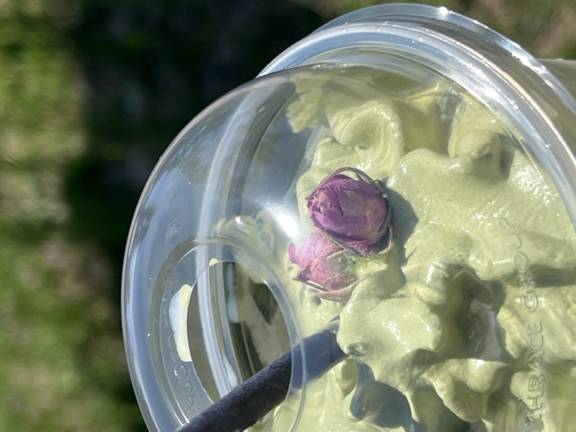 A close-up, eye-level shot shows a clear plastic cup filled with a thick, pale green beverage, possibly a matcha smoothie. The surface of the drink is textured with swirls, and two small, dried pink rosebuds are nestled on top. A dark gray straw is partially submerged in the beverage. The cup has a clear, domed lid, through which the green beverage and rosebuds are visible. Faint text, appearing to be "THRACE GROUP," is embossed on the lower portion of the cup. The background is blurred, suggesting an outdoor setting with soft green foliage under bright sunlight. The image was taken in Bjeliši, Montenegro.