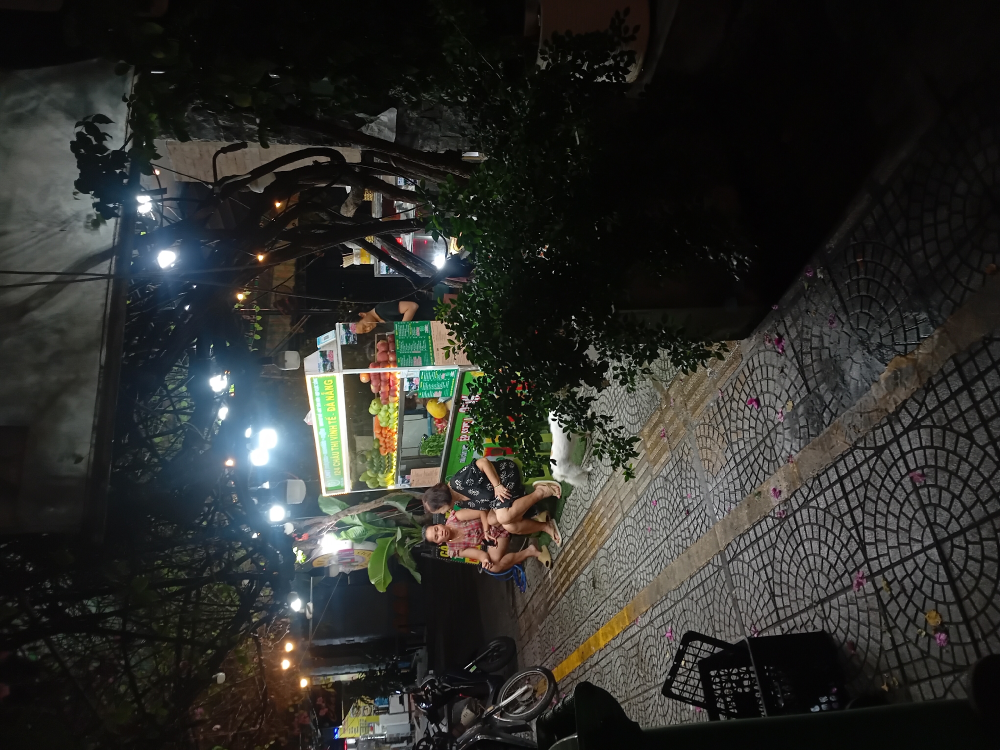 A night scene in Đà Nẵng, Vietnam, captures a street food stall illuminated by strings of bright lights. The stall features a display of fresh fruits, including apples and guavas, and a menu board with Vietnamese text, including "124 CHÂU THỊ VĨNH TẾ - ĐÀ NẴNG". Two women are seated on the ground in front of the stall. One woman, wearing a black floral dress, leans over and embraces the other, who is dressed in a red and white checkered shirt. A white cat is visible standing on the tiled walkway near some greenery. The walkway is paved with patterned gray tiles, and scattered pink and yellow flower petals lie on the ground. Motorcycles are parked in the lower part of the image. The overall atmosphere appears relaxed and casual, suggesting a typical evening scene at a local eatery.