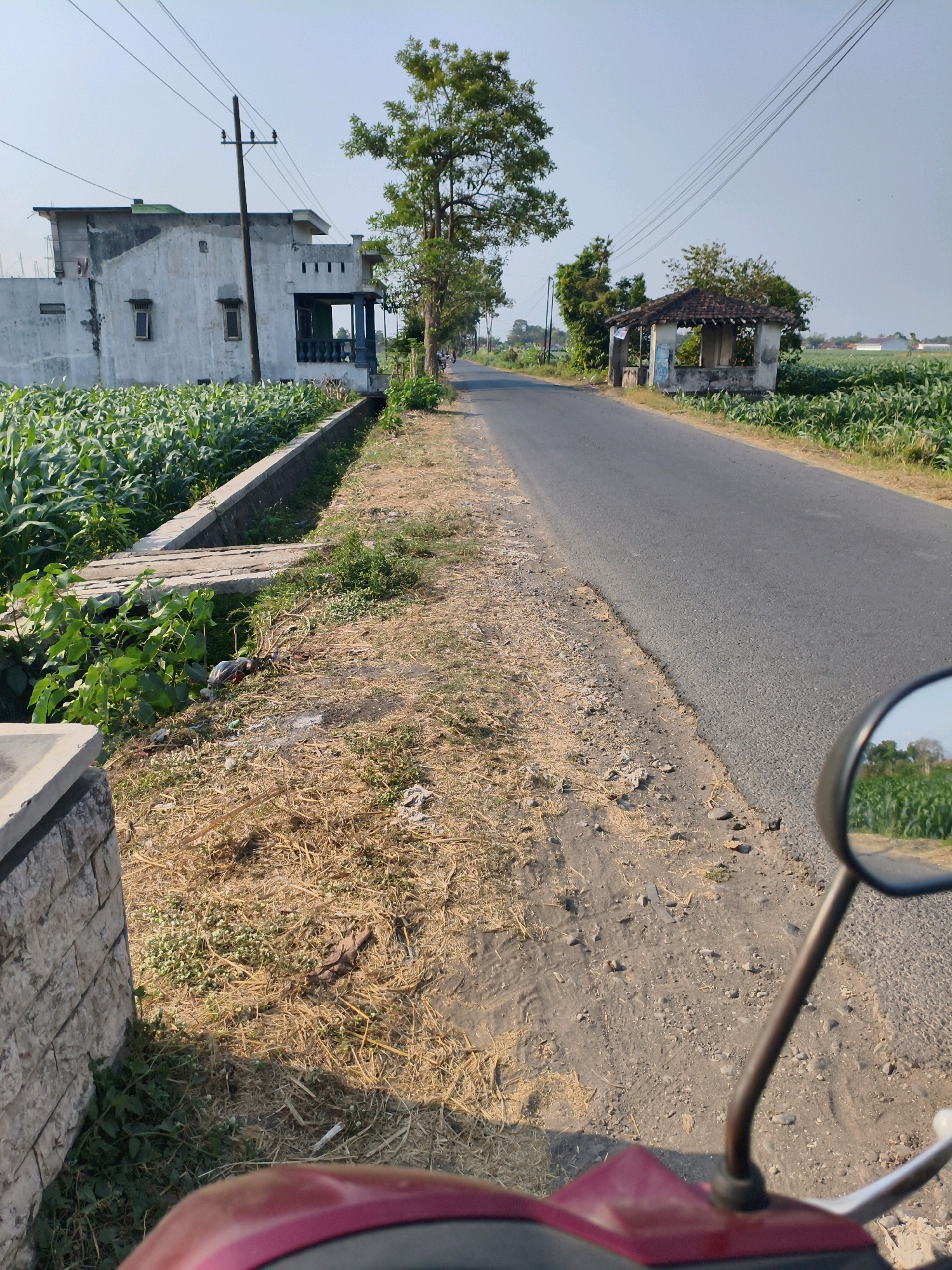 The image depicts a rural road in Mirigambar, Indonesia, with a motorcycle's handlebar and part of its red body visible in the foreground, suggesting the viewpoint of the rider. To the left of the road, a field of corn grows, bordered by a concrete drainage channel. A white building with a dark-tiled roof and a covered porch stands near the cornfield, accompanied by a utility pole and overhead wires. Further down the road on the right, there is a small, dilapidated structure with a broken tiled roof, possibly a shelter or small shop. The road itself is asphalt and appears to be relatively well-maintained, with a dusty shoulder. The environment is characterized by clear skies, sparse vegetation along the roadside, and agricultural fields stretching into the distance. The scene suggests a typical rural Indonesian landscape during daylight hours.