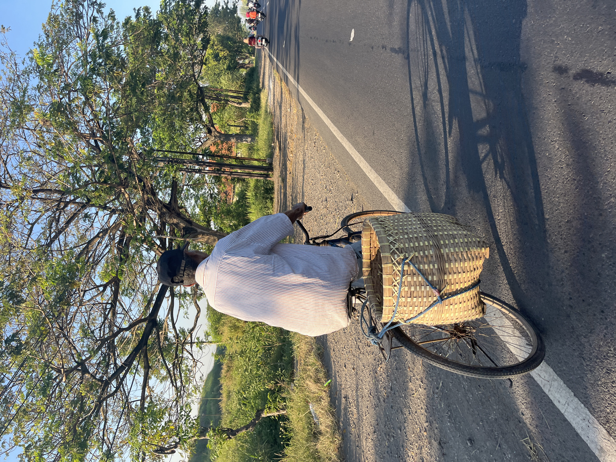 An elderly man wearing a striped shirt and a black cap rides a bicycle down a paved road, with a woven basket attached to the rear of the bicycle. He is positioned in the foreground, on the left side of the road, with his back to the camera. The road is bordered by a dirt shoulder and lush green vegetation on the left, and a tree-lined area on the right. In the background, several motorcycles are visible on the road, heading in the same direction as the cyclist. The sky is clear and blue, and the sun casts long shadows across the road, suggesting it is either early morning or late afternoon. The scene appears to be in a rural or semi-urban setting, potentially in Siring, Indonesia, given the presence of motorcycles and the tropical vegetation.