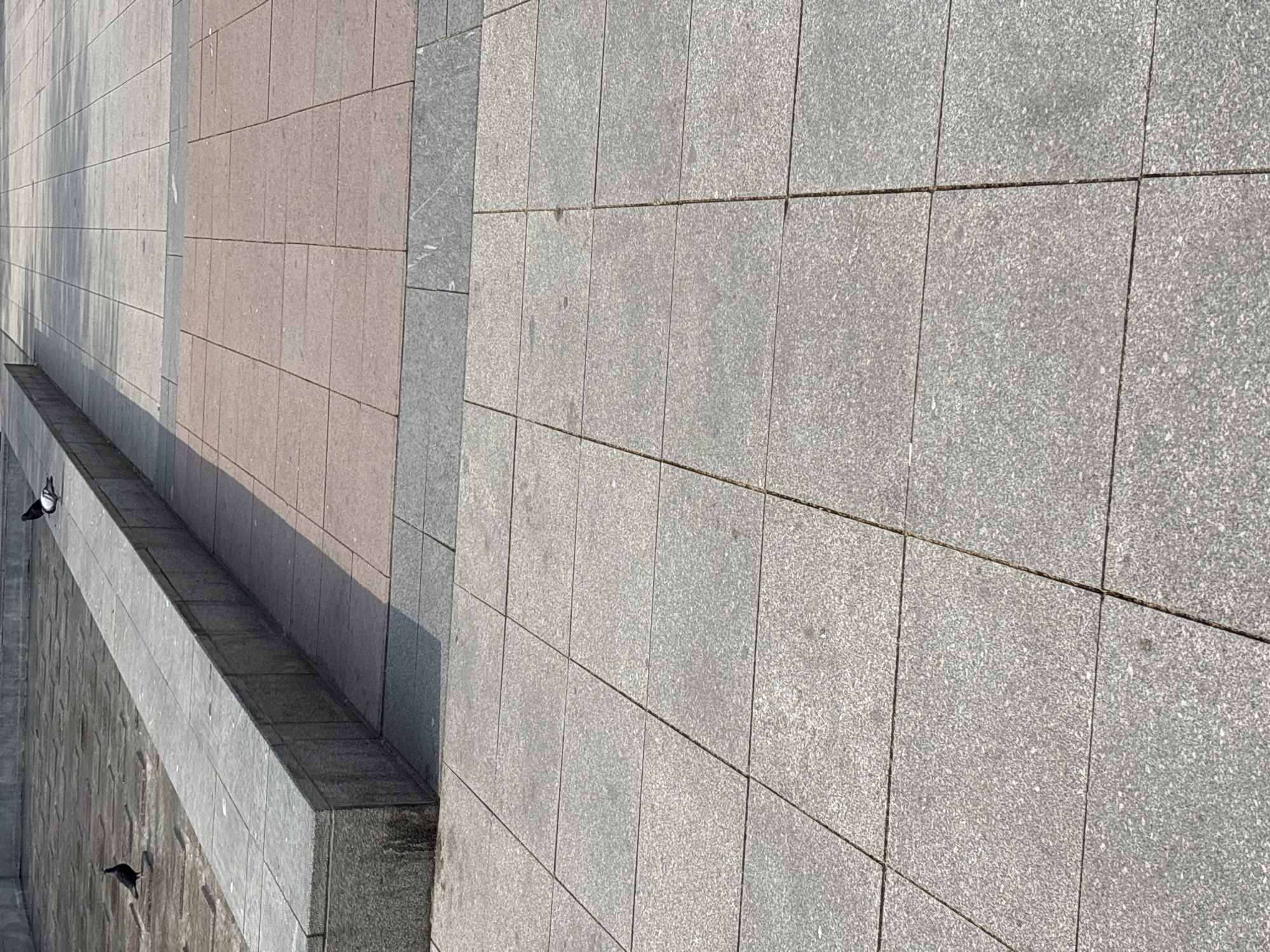 The image shows a section of an outdoor public space in Plovdiv, Bulgaria, featuring stone paving. The paving consists of large, rectangular blocks of varying colors and textures. The majority are light gray, with some areas featuring pink or darker gray stones. The stones are laid in a grid pattern with visible seams. A low concrete wall is visible on the left side of the image. Two pigeons can be seen on the wall. The scene appears to be taken on a sunny day, as shadows are visible.