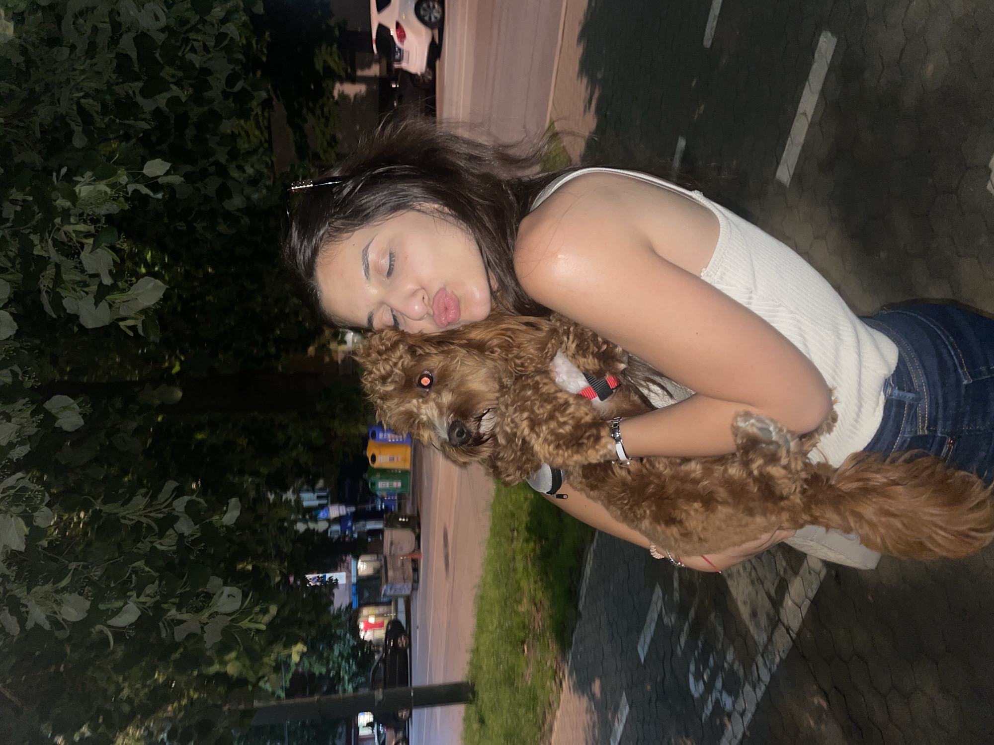 The image captures a heartwarming moment between a young woman and her dog at night, rotated 90 degrees clockwise. The woman, with dark hair, is shown in profile with her eyes closed and lips puckered in a kissing gesture directed towards her pet. She is wearing a white ribbed tank top and blue denim jeans, and a watch is visible on her left wrist.
She is holding a small, fluffy, brown dog with curly fur in her arms. The dog is wearing a harness with red, white, and black accents, and its eyes display a red-eye effect, typical of flash photography in low-light conditions.
The background indicates an outdoor setting, likely an urban or suburban area after dark. To the left, dark foliage from trees is visible. The ground is paved with grey interlocking blocks, featuring white painted lines that suggest a road or parking area. In the distance, various artificial lights from buildings and streetlights can be seen, along with what appear to be public recycling bins (green and yellow). A white car is partially visible parked in the upper left section of the background. The overall emotion conveyed is one of deep affection and companionship between the woman and her dog. No visible text is discernible in the image.