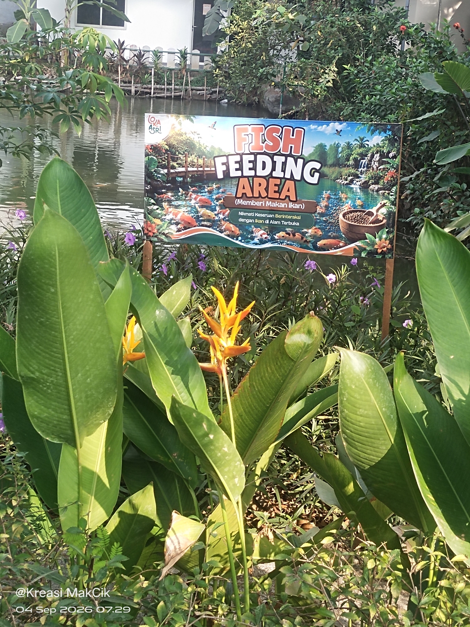 The image depicts a "FISH FEEDING AREA" sign in front of a pond with koi fish. The sign, in English and Indonesian, invites visitors to enjoy interacting with the fish by feeding them. The pond is surrounded by lush greenery, including large tropical leaves and small purple flowers. In the background, there is a glimpse of a white building and a wooden fence. The scene is bathed in sunlight, casting shadows on the plants. The bottom left corner of the image contains a watermark that reads "@Kreasi MakCik 04 Sep 2026 07.29". This suggests the photo was taken in or around Suko, Indonesia, on September 4, 2026.