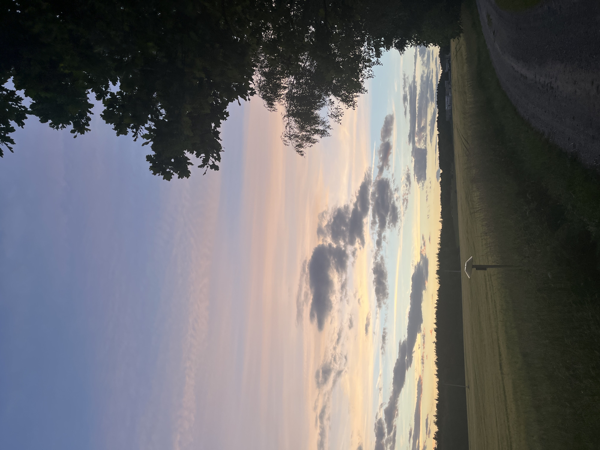 The image shows a rural landscape at dusk. A dirt path curves into the foreground on the right, bordered by tall grass and vegetation. In the middle ground, a large, flat field of green crops stretches towards a dark line of trees in the distance. A small, wooden post with a solar panel is visible in the field. The sky above is a gradient of soft colors, transitioning from pale blue at the top to pink, orange, and yellow near the horizon, with scattered gray clouds. The silhouette of trees is visible along the right edge of the image, with their leaves dark against the colorful sky. In the far distance, a cluster of buildings is faintly visible. The scene is serene and natural, depicting a peaceful evening in a rural setting.