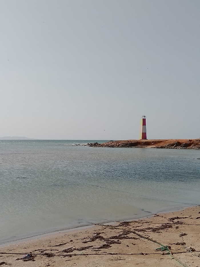 The image displays a coastal scene in La Salineta, Venezuela. A light tan sandy beach occupies the foreground, strewn with dark organic detritus and traversed by multiple thin lines, including one visible green rope, extending into the water. The water is calm, exhibiting shades of light blue-green and brown, suggesting shallow depths near the shore. A reddish-brown rocky landmass forms a small peninsula extending into the water from the right mid-ground. Positioned on this peninsula is a tall, cylindrical lighthouse, painted with alternating vertical red and white stripes, topped by a lighter-colored lantern room. The sky above is light grey-blue and clear, with several tiny dark specks, possibly distant birds. A low-lying landmass is faintly visible on the distant horizon to the left. No people or active vessels are present.
