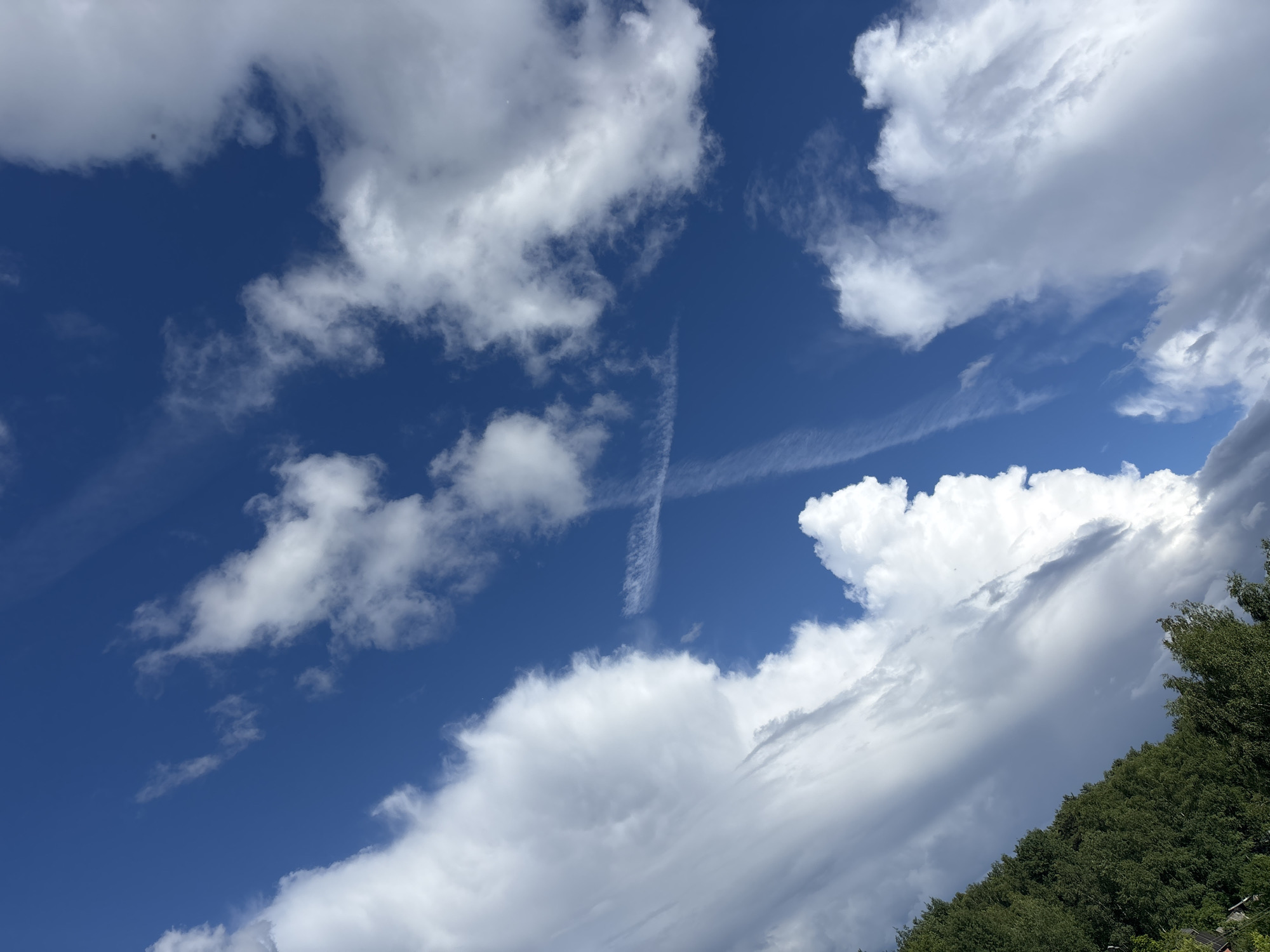 The image captures a dynamic sky with a mixture of clouds and a clear blue sky, likely taken during the daytime. The scene is dominated by a prominent cross-shaped contrail, formed by aircraft, intersecting the sky. Fluffy white cumulus clouds are scattered across the frame, with some larger, denser formations suggesting potentially changing weather. In the lower right portion of the image, a dense green forest canopy is visible, sloping upwards and hinting at a hilly terrain. The overall impression is one of a bright, possibly breezy day. No people, objects, or text are discernible in the image. The location context suggests it is from Vsevolodovo, Russia.