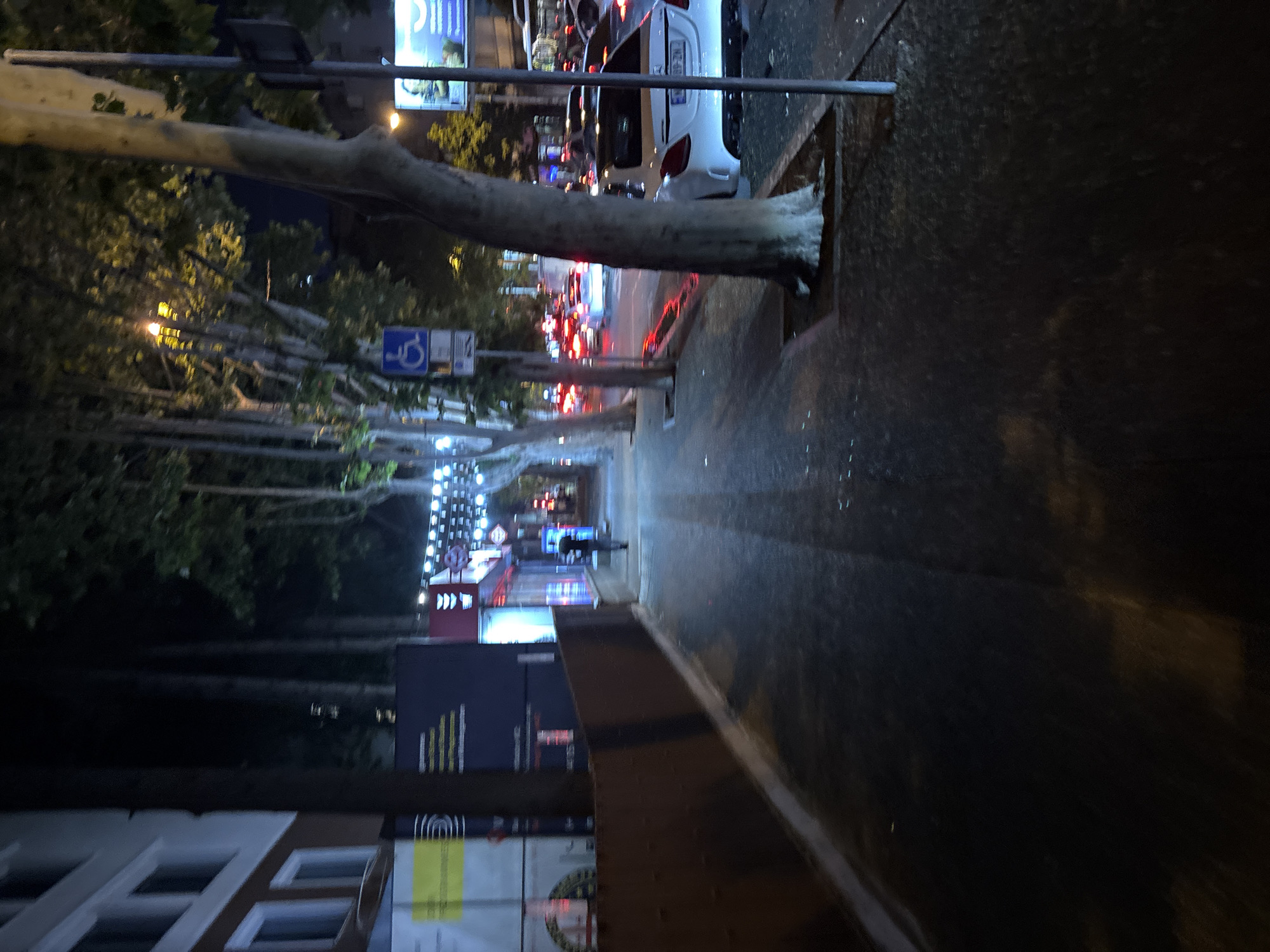 The image depicts a nighttime street scene in Tbilisi, Georgia, likely on a sidewalk adjacent to a road with moderate traffic. A person, seen from behind and holding an umbrella, walks along the dimly lit sidewalk. The sidewalk is paved and appears wet, reflecting the ambient light from street lamps and the headlights of passing cars.
To the left of the sidewalk is a building with multiple windows, some illuminated. A brown, textured wall runs along the edge of the sidewalk. Further down the sidewalk, businesses with illuminated storefronts are visible, with strings of decorative lights adding to the ambiance. A blue sign with a white wheelchair symbol, indicating accessibility, is mounted on a pole near the sidewalk.
The road beside the sidewalk has several cars, including a white Mercedes-Benz, with their headlights and taillights illuminated. The traffic appears to be moving slowly, suggesting a congested or stop-and-go situation. Trees with full canopies line the sidewalk, their leaves illuminated by streetlights, casting shadows on the ground. The overall impression is one of a busy urban street at night, with elements of pedestrian activity and vehicle traffic.