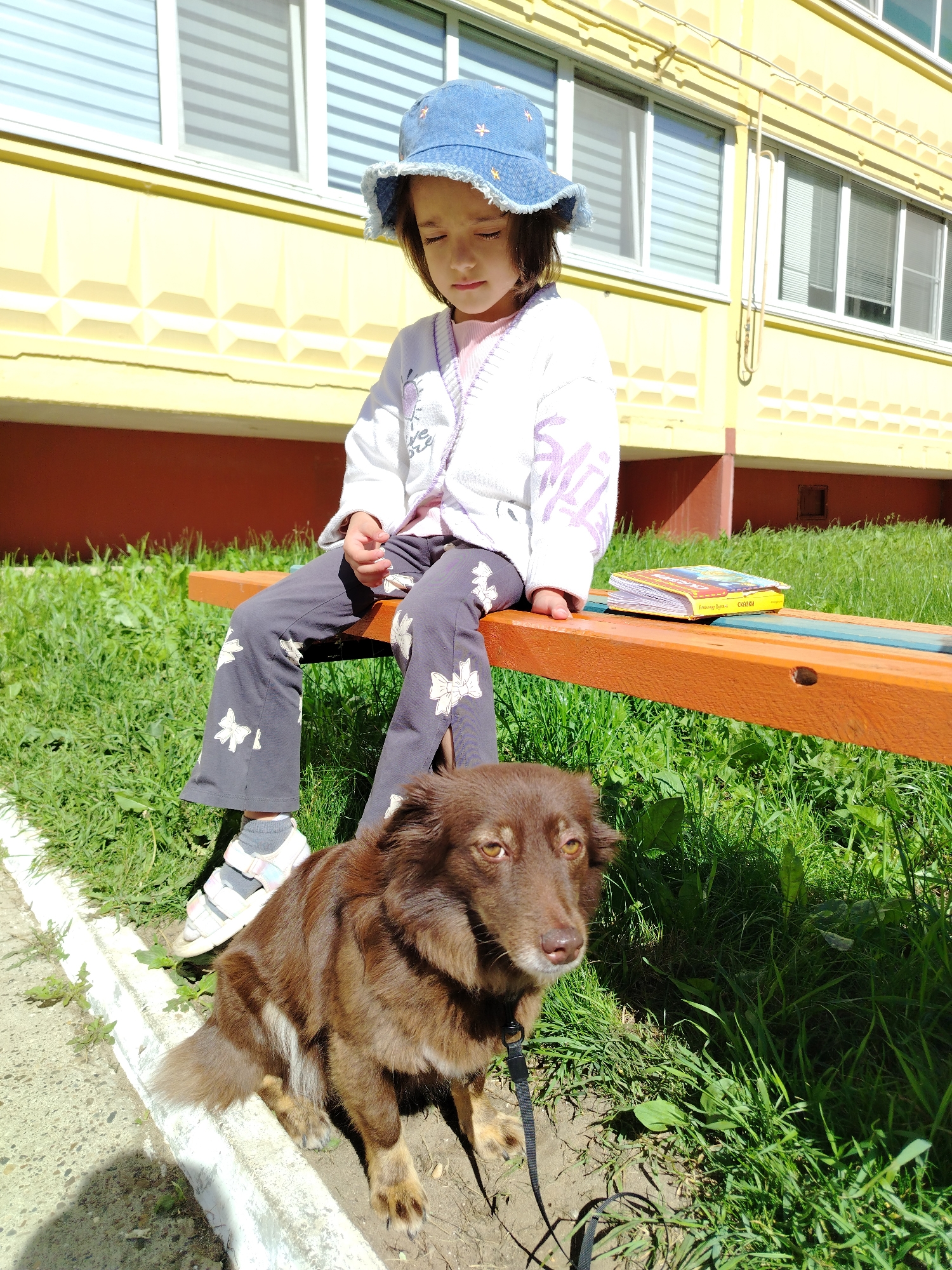 In Noviy, Russia, a young girl wearing a denim bucket hat and a white cardigan over a pink shirt sits on an orange and blue park bench. She has dark hair and is looking down, with her eyes closed. Her dark grey pants are decorated with a white bow pattern. A brown dog with a black leash sits on the ground in front of the bench. Next to the girl on the bench is an open book with a yellow cover. The background features a yellow apartment building with white-framed windows and blinds, and a grassy area with some weeds. The image was taken on a sunny day, casting shadows on the ground.