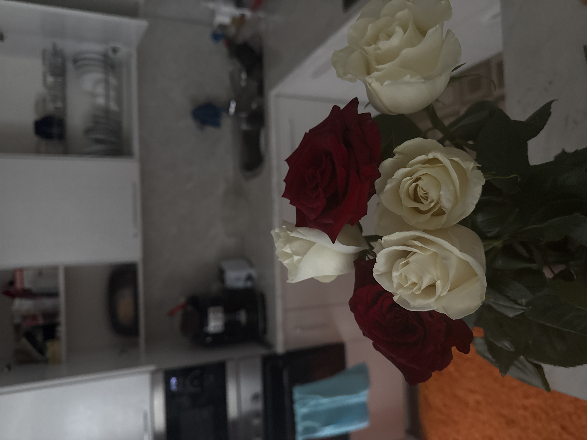 A vase containing roses is in a kitchen setting. The roses consist of two red roses and three white roses. The background includes kitchen cabinets, a microwave, and other kitchen items. The location is Naberezhnye Chelny, Russia.