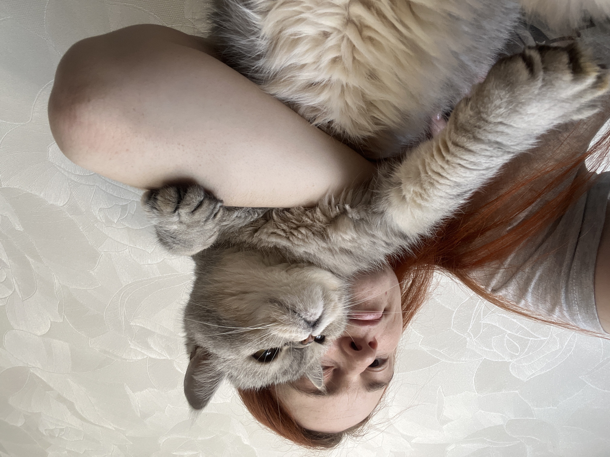 A light-skinned person with red hair lies on their back on a white floral patterned surface. A grey cat is positioned on the person's chest, partially obscuring their face. The cat is looking at the camera. The person is wearing a grey t-shirt. The exact location within Chaikovsky, Russia, cannot be determined from the image.