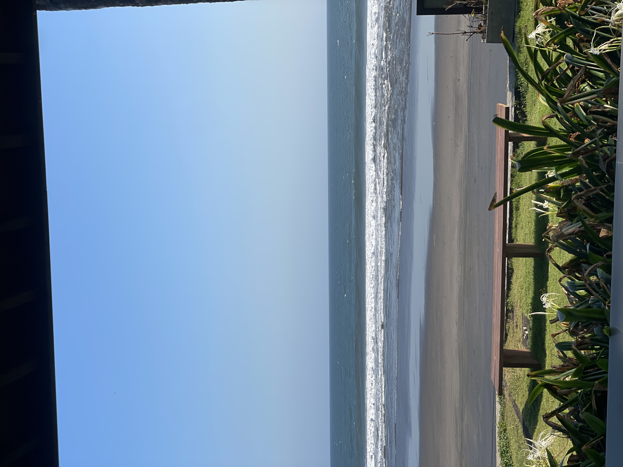 An eye-level, full outdoor shot captures a serene beach scene in Selemadeg Timur, Indonesia. The image is dominated by the vast expanse of a clear blue sky, meeting the deep blue ocean at the horizon. Gentle waves roll onto a dark sand beach, their white crests creating a stark contrast against the water. In the foreground, a wooden bench rests on a patch of vibrant green grass. Lush, leafy green plants with white flowers frame the bottom of the image, partially obscuring the bench and adding a touch of natural beauty to the scene. The overall atmosphere is one of tranquility and natural beauty.