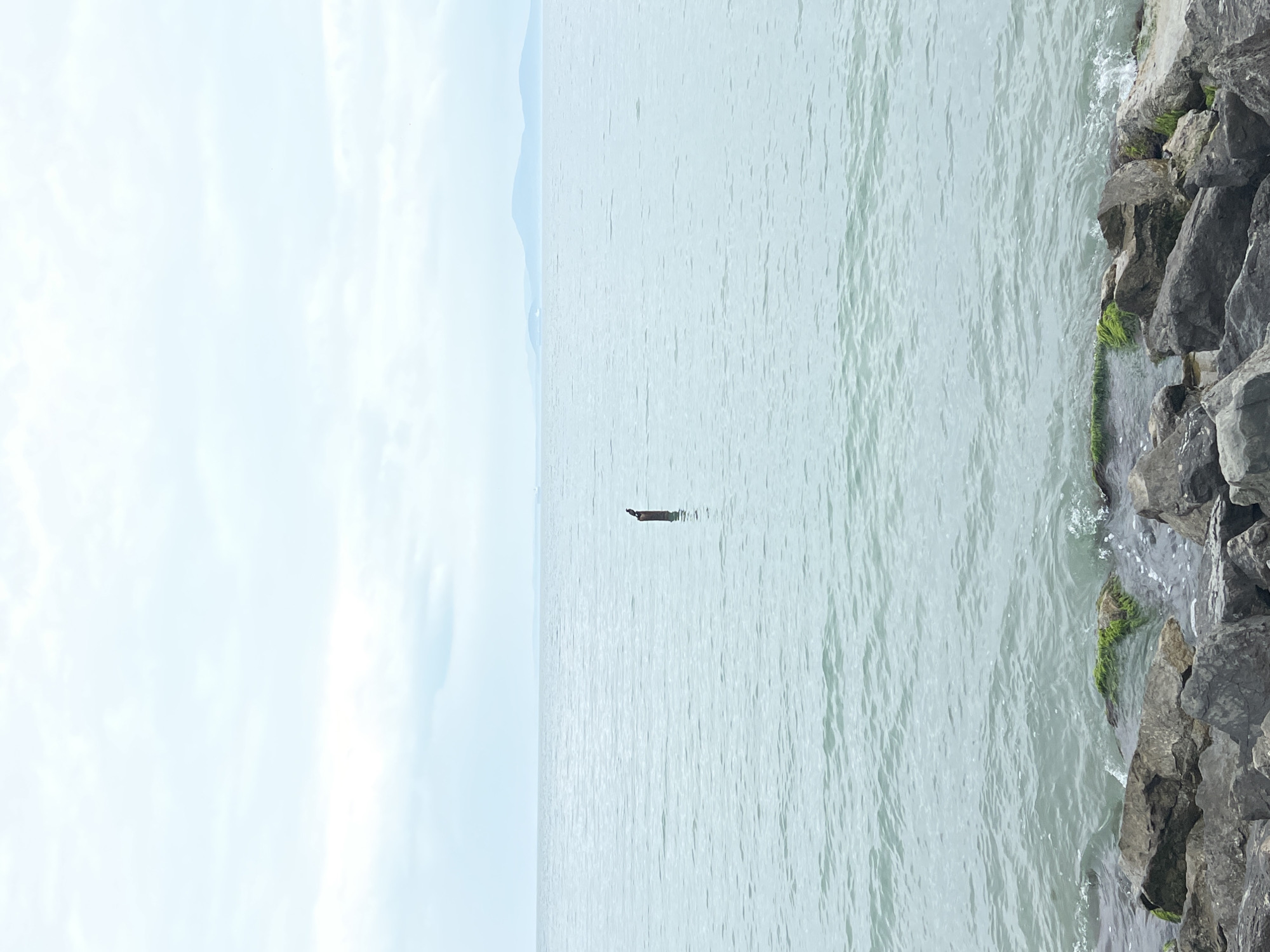 The image depicts a body of water, possibly a lake or the sea, with a piece of driftwood floating in the center. Rocks line the right side of the frame, some with patches of green moss. The sky is cloudy and light blue. The location is likely near a coastline based on the presence of water and rocks. Without further context or details, it's not possible to confirm that the location is Burgas, Bulgaria.