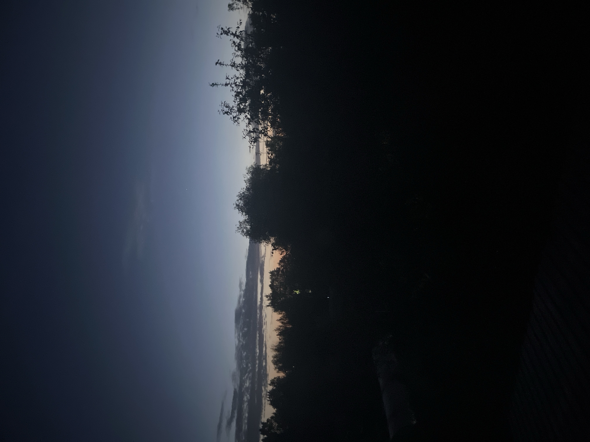 The image depicts a silhouetted landscape at dusk or dawn. A dark treeline dominates the lower half of the frame, with the tops of trees reaching towards a gradient sky. The sky transitions from a deep navy blue at the top to lighter shades of blue and a hint of orange or pink near the horizon, suggesting the last vestiges of daylight. Several thin, wispy clouds are visible against the lighter sky. In the foreground, the bottom left of the image shows a dark, indistinct object, possibly a roof or structure, with a patterned surface. A faint light is visible within the treeline, possibly an outdoor light. There are no people or animals visible in the image. The overall atmosphere is serene and quiet, characteristic of a rural or suburban environment at a transitional time of day. This scene is consistent with a view found in or around Chaikovsky, Russia, given its natural surroundings and likely presence of residential or recreational areas.
