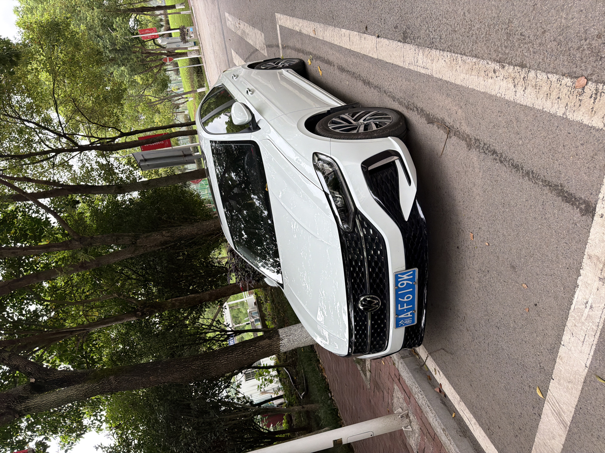 A white Volkswagen sedan, with license plate number "A·F619K", is parked on a street in Jiangjin District, Chongqing, China. The car is angled towards the viewer, with its front bumper and driver's side visible. The street is paved with asphalt and has white painted lane markings. A red brick sidewalk runs alongside the street, with a white utility pole on it. Trees with green foliage line the street and sidewalk, casting shadows on the ground. In the background, there are more trees, some buildings, and a grassy slope. The sky is overcast.