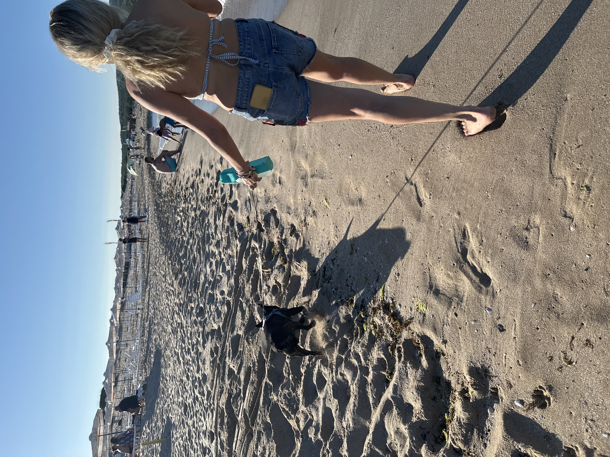 The image depicts a sunny day at a beach in Primorsko, Bulgaria, with a woman walking along the shoreline holding a leash attached to a small dog running ahead of her. The woman is wearing denim shorts and a bikini top, with her hair tied back in a ponytail. The dog, a brindle-colored French Bulldog, is actively running on the sand. In the background, rows of beach umbrellas and lounge chairs are set up, with several other people visible enjoying the beach. The sea is calm and the sky is clear blue. The sand is light brown and textured, showing footprints and debris from the sea.