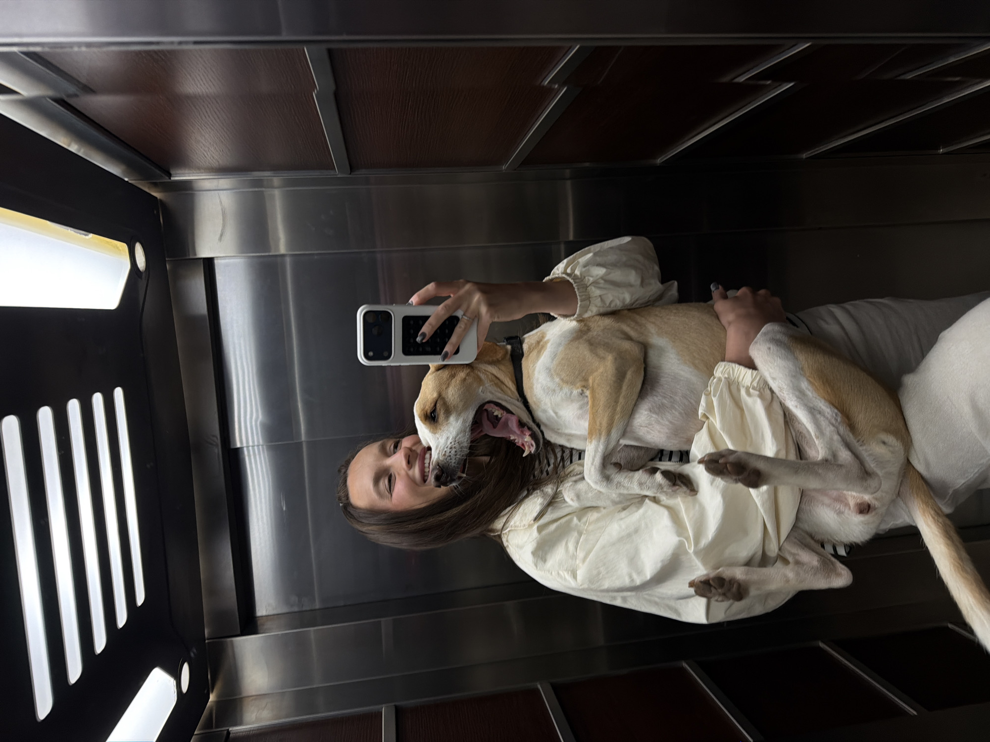 A woman and a dog are posing for a selfie inside an elevator. The woman has long brown hair and is wearing a light-colored, possibly white, shirt. She is holding a smartphone with a white case and visible camera lenses. The dog is light brown and white and appears to be yawning or barking. The elevator walls are made of stainless steel with darker brown panels above. The elevator door, visible on the left, is black with vertical white slats. This location cannot be determined.