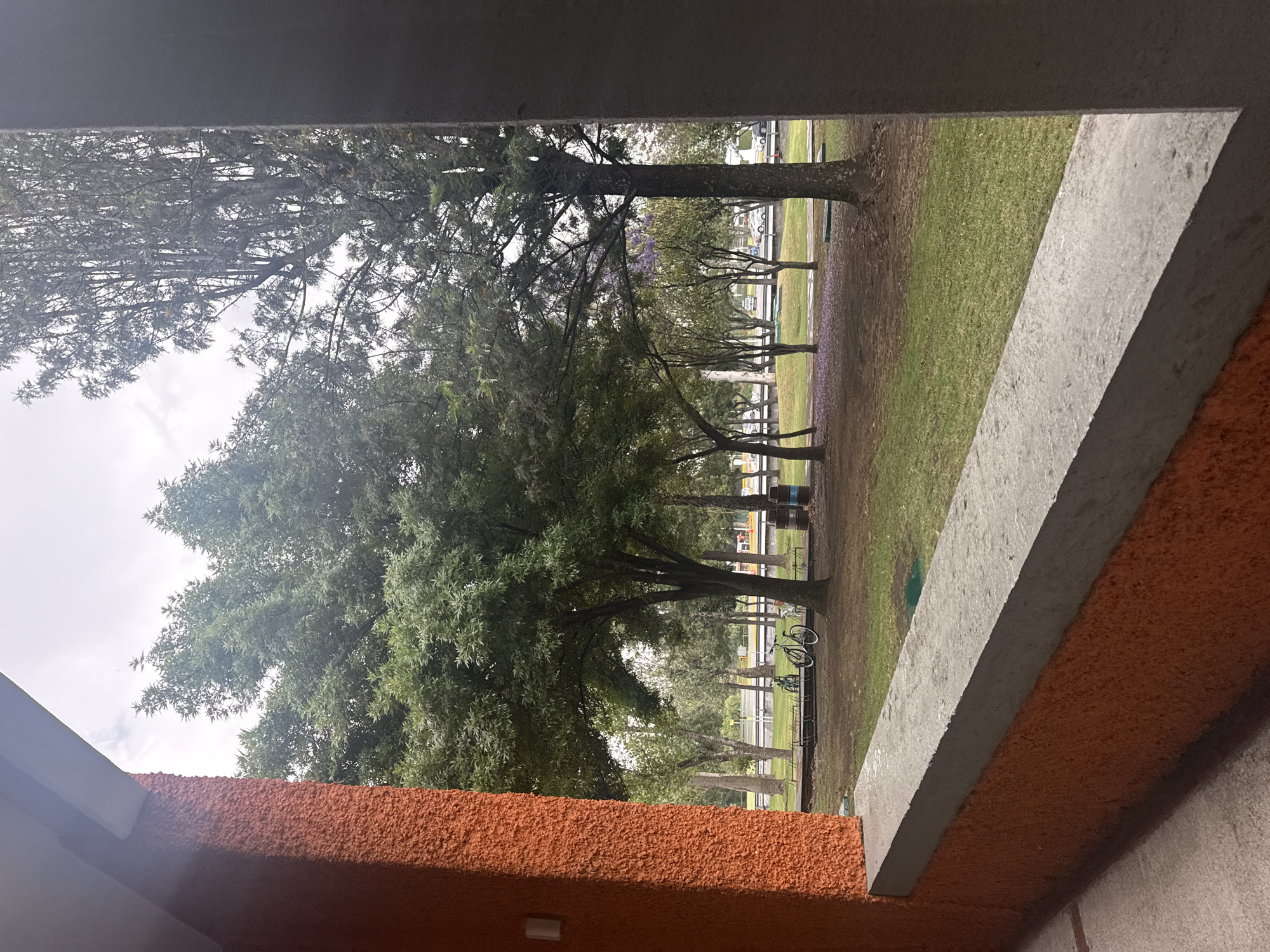 The image shows a view of a park through a window. The window frame is composed of orange stucco and grey concrete. Outside, there are trees, grass, and a row of purple-flowered trees along a path in the background. Two bicycles are parked near a tree. The location is likely in San Andrés Cholula, Mexico.