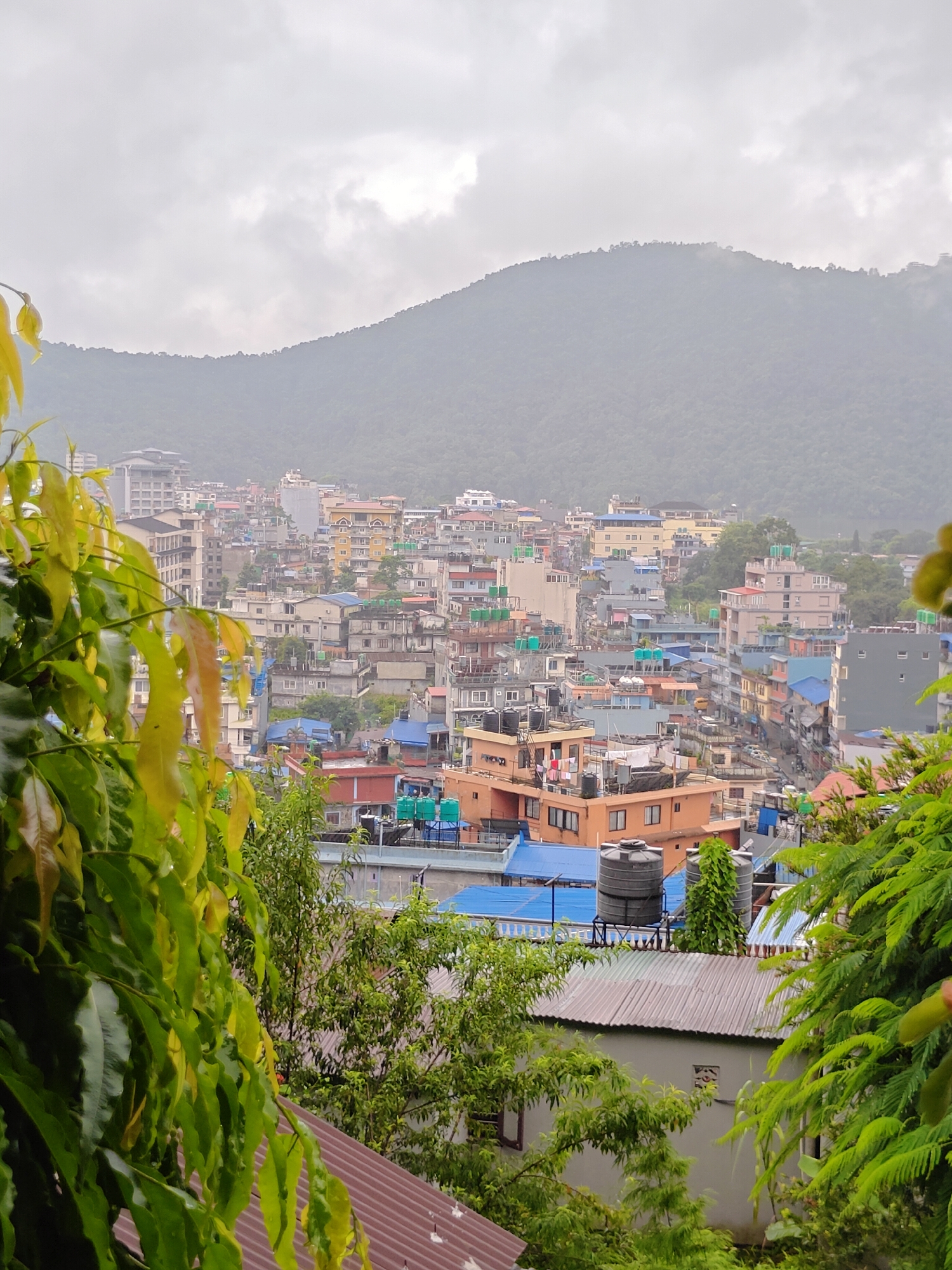 The image shows a dense urban area in Pokhara, Nepal, with numerous multi-story buildings of varying colors and architectural styles. The buildings are clustered closely together, with many featuring flat roofs, some of which are adorned with water tanks. The architecture suggests a mix of residential and commercial properties. In the foreground, lush green foliage, likely trees and plants, frames the view of the city, with some leaves appearing damp, indicating recent rainfall or high humidity. Behind the city, a large, mist-covered mountain range dominates the background, its slopes covered in dense vegetation. The sky is overcast and cloudy, contributing to a subdued, diffused light. The overall impression is of a vibrant, densely populated city nestled within a mountainous landscape, likely captured during or shortly after a period of rain.