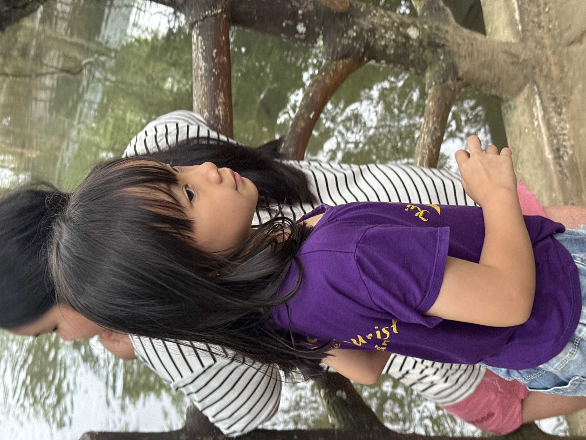 The image shows two young girls standing on a wooden walkway near a body of water. The girl in the foreground is wearing a purple t-shirt and denim shorts. She has long, dark hair and is looking to the right of the frame. The second girl, partially visible behind the first, is wearing a striped t-shirt. The walkway appears to be made of weathered wood, with railings also made of wood. The water is calm and reflects the surrounding trees and sky. The overall impression is that of a natural, outdoor setting, possibly a park or a nature reserve. The location is specified as Cẩm Tú Commune, Vietnam.