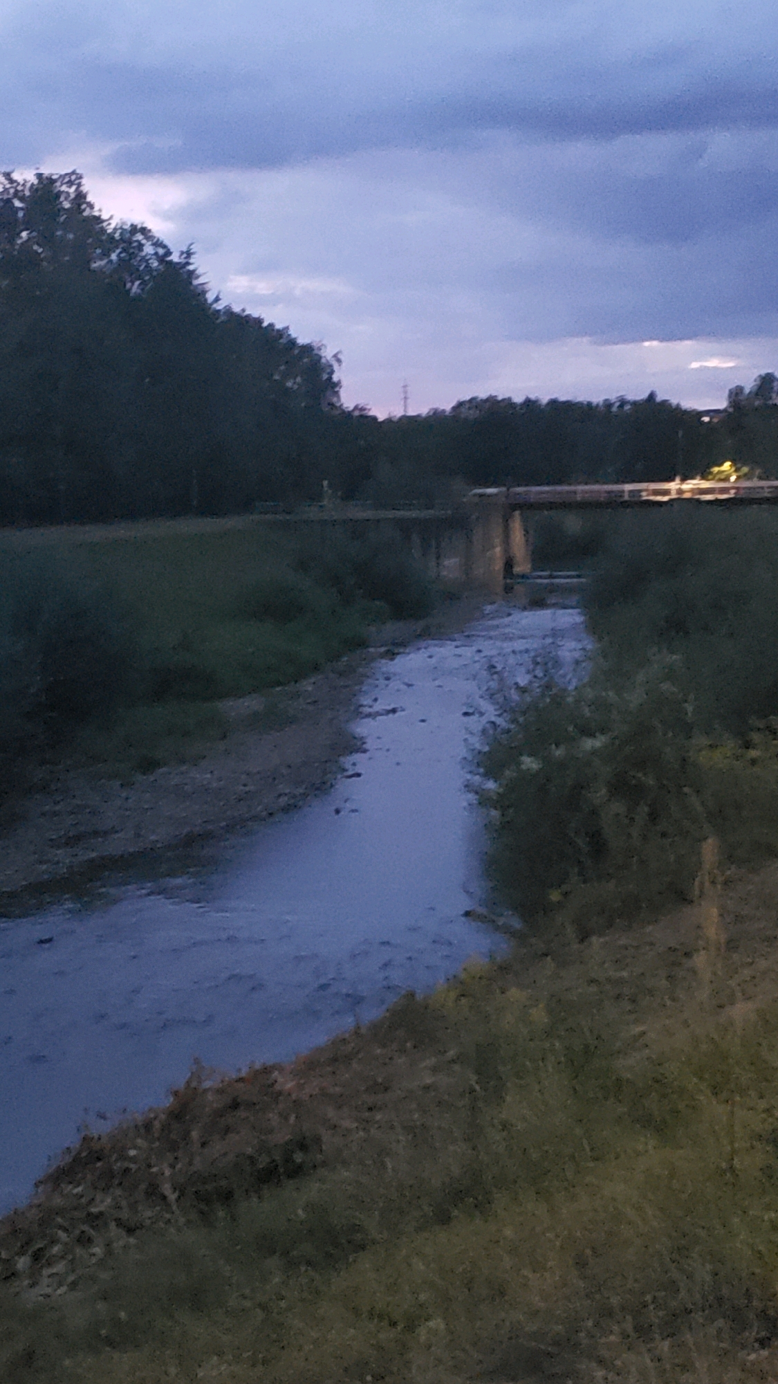 The image depicts a natural scene at dusk, possibly in the city of Prešov, Slovakia, featuring a narrow, murky river flowing through a wooded area. The sky is overcast with dark, purplish clouds. On the right bank of the river, there is dense, overgrown vegetation and some drier, muddy ground. The left bank is also covered in grass and bushes, with a rocky, exposed riverbed extending into the water. In the distance, a bridge spans the river, with visible lights suggesting it is a roadway. The overall atmosphere is subdued and natural, with no human figures or specific actions apparent. The environment is characterized by its wild, unkempt appearance, typical of areas near a river or stream in a semi-urban or rural setting.