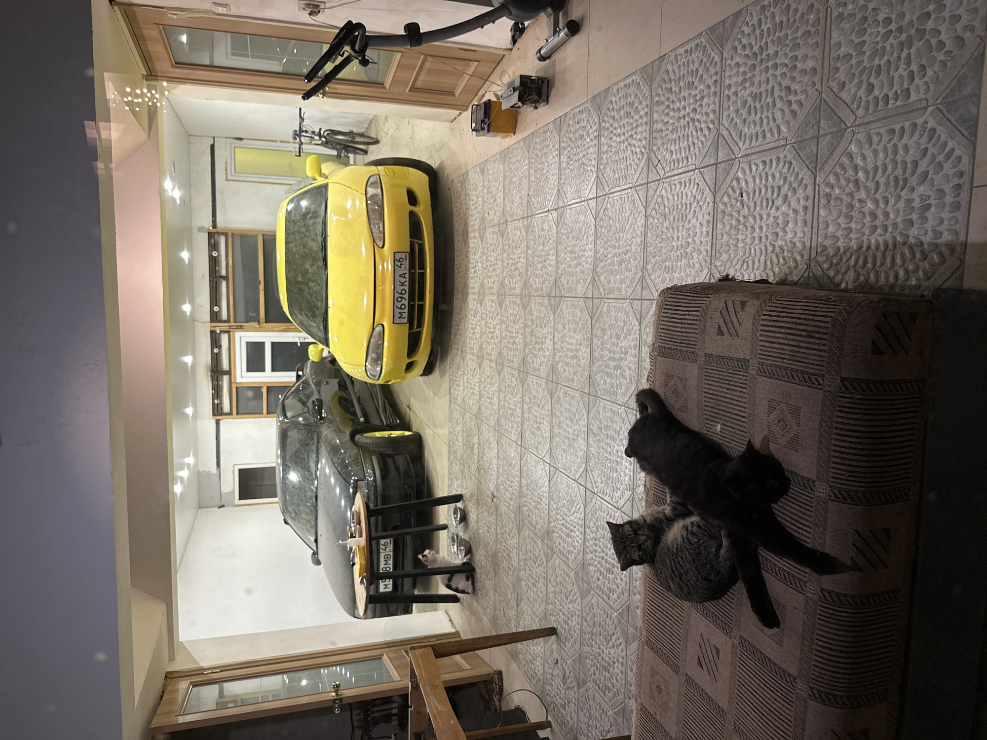 The photograph appears to be taken inside a garage or storage area, possibly in a residential building. The photo includes 2 cars, one is yellow and the other is dark gray, both appear to be parked inside. There are cats relaxing on a brown, patterned couch in the garage. The license plate visible is Russian and indicates the location in the city of Kursk in Russia, which can be confirmed by the plate number "M696KA 46" and "M58MB 46". The garage space has tiled floors, and there is a bicycle and an exercise bike, along with other miscellaneous items scattered around. The lighting is dim, and the perspective is a wide shot from an elevated position.
