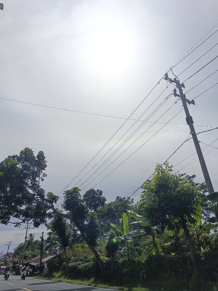 The image presents a bright, hazy daytime scene along a road in Carcar, Philippines. The upper portion of the frame is dominated by a brilliant white and light gray sky, indicating a strong, high sun. A faint atmospheric optical phenomenon, possibly a halo or circumhorizontal arc, appears as a subtle, barely discernible curve across the sky.
A prominent utility pole, laden with numerous power lines, extends diagonally from the upper right corner towards the center. Multiple power lines crisscross the sky, adding a linear element to the vast expanse. Below the sky, the landscape is rich with lush, green tropical vegetation. Various trees with dense foliage, including recognizable banana plants, line the side of the road, creating a verdant border.
On the paved road visible on the far left, a few individuals are seen riding motorcycles or scooters, suggesting daily transit. Further in the background on the left, partially obscured by the trees, are several modest buildings, likely houses or small shops, one featuring a reddish-brown roof.
The time of day is clearly midday, characterized by the intense brightness and the sun's high position. The weather is sunny but appears hazy, contributing to the diffused light and the faint atmospheric phenomenon. The tropical flora and typical roadside activity are consistent with the Carcar, Philippines location. No specific emotions are discernible, and any text on distant signs is illegible due to the distance and resolution.