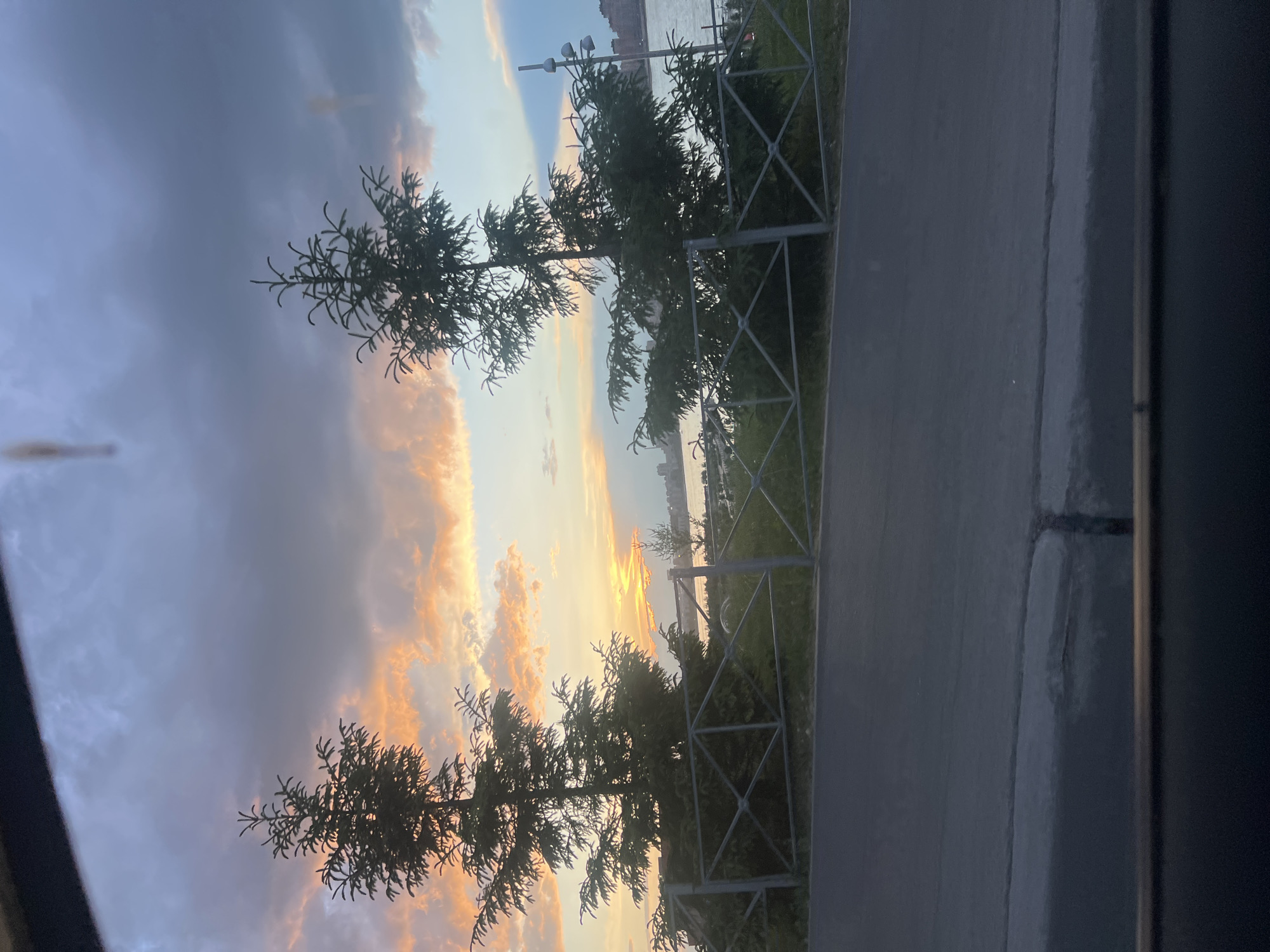 The image shows a sunset scene in Kazan, Russia, near the Volga River. In the foreground, two coniferous trees are partially obstructing the view. A gray metal fence runs along the edge of a paved walkway or road. Beyond the fence, vegetation is visible. In the background, the Volga River is visible, with buildings and structures on the opposite shore. The sky is filled with a mixture of dark gray and orange-tinted clouds, indicating the setting sun. The photo appears to be taken from an elevated position, possibly from a building or high ground.