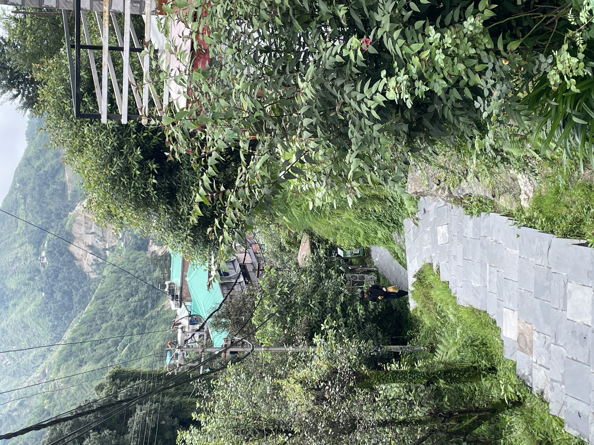 A person walks down a stone stairway in Bhagsu, India. The stairway is lined with lush green foliage and trees on either side. In the background, buildings with teal roofs are visible, nestled amongst the trees on a mountainside. Power lines and poles are also present in the scene, with more trees and the hazy outline of distant mountains in the far background. The sky is overcast.