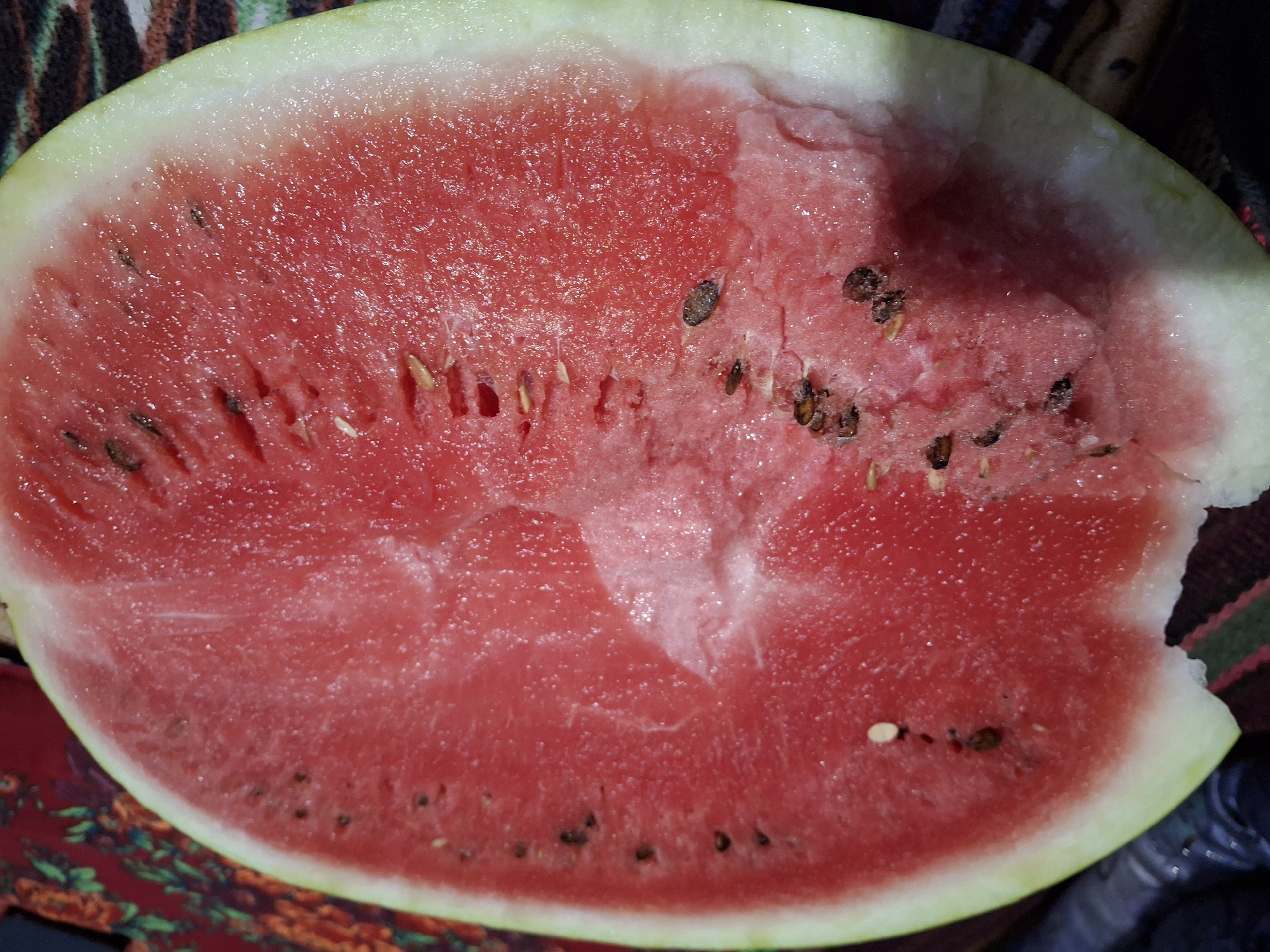 A close-up, overhead shot shows a halved watermelon with its bright pink flesh and pale green rind. The watermelon is pitted with numerous black seeds embedded in the flesh. The rind is thick and white at the inner edge, transitioning to a light green on the outside. Some areas of the flesh appear slightly bruised or mashed, suggesting it has been cut into or eaten. The background is blurred but appears to be a patterned fabric, possibly a tablecloth or textile, in shades of red, black, and green. The image is cropped in a way that the entire watermelon is not visible, but the focus is on the texture and details of the fruit. This scene could be from a home kitchen or an outdoor setting in Ko`kdala, Uzbekistan, given the commonality of watermelon consumption in the region during warmer months.