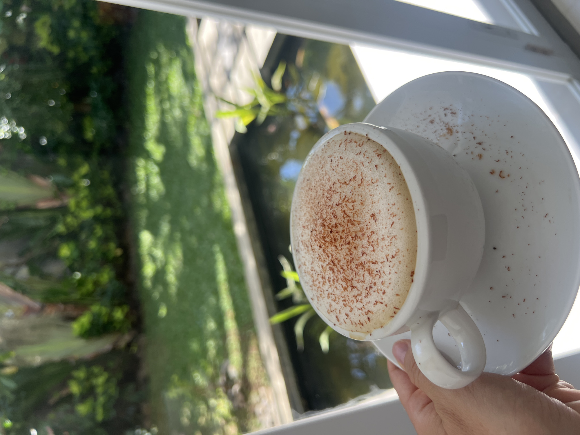 A close-up shot shows a white cup and saucer containing a beverage with foamy top, dusted with a light-brown powder. The drink is held by a hand. Outside the window, partially visible in the background, is greenery and a body of water. The location is Unknown, Unknown.